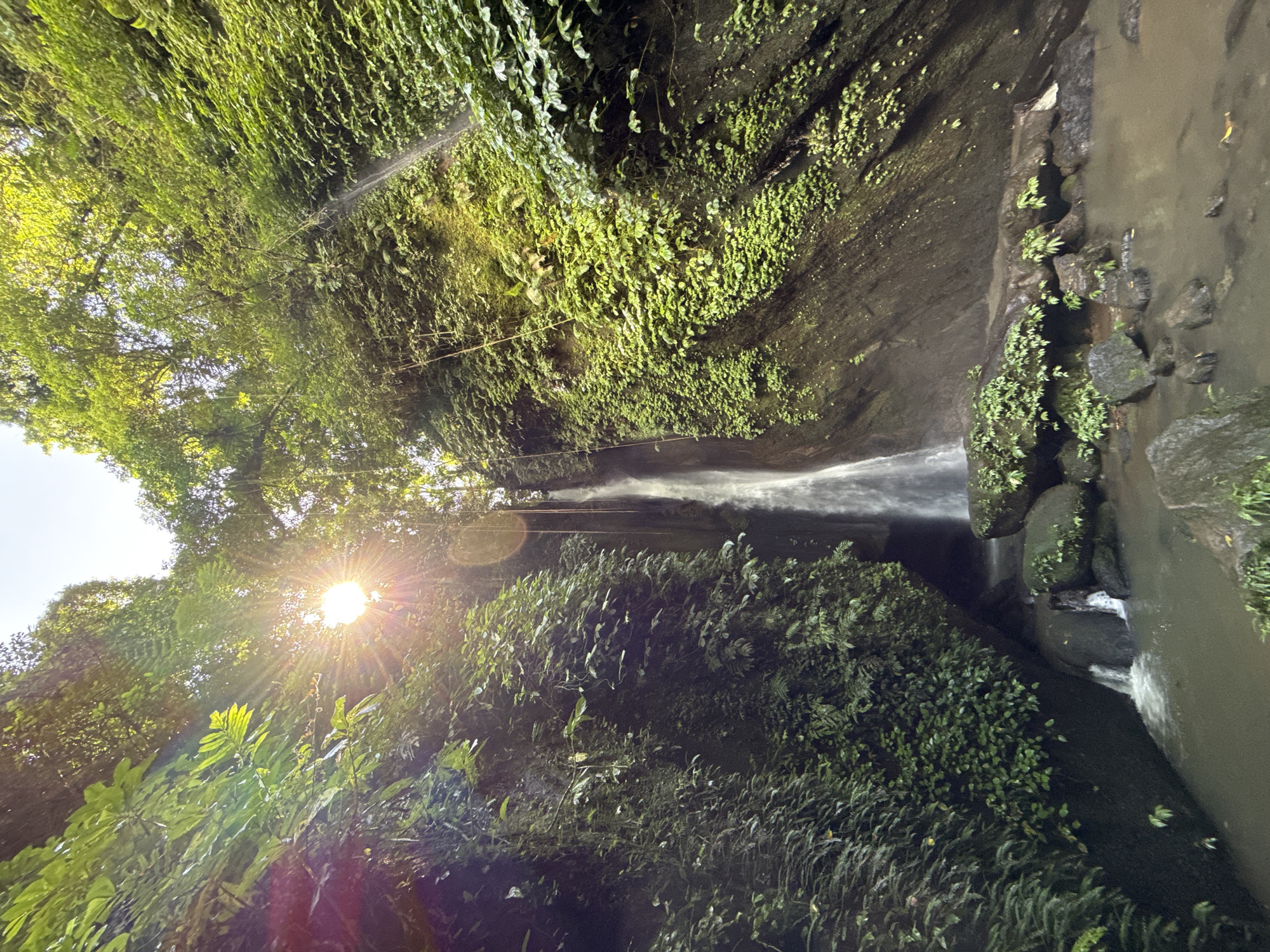 Waterfall documented cascading through lush rocky ravine