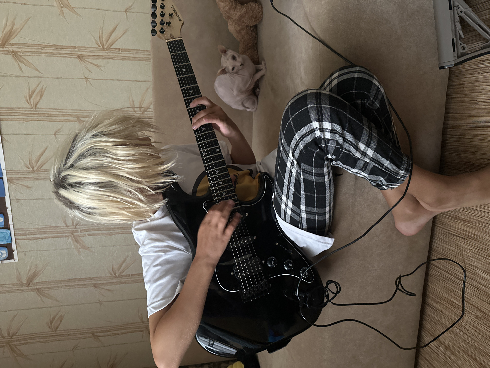 Sphynx cat spa day and guitar practice, Togliatti morning