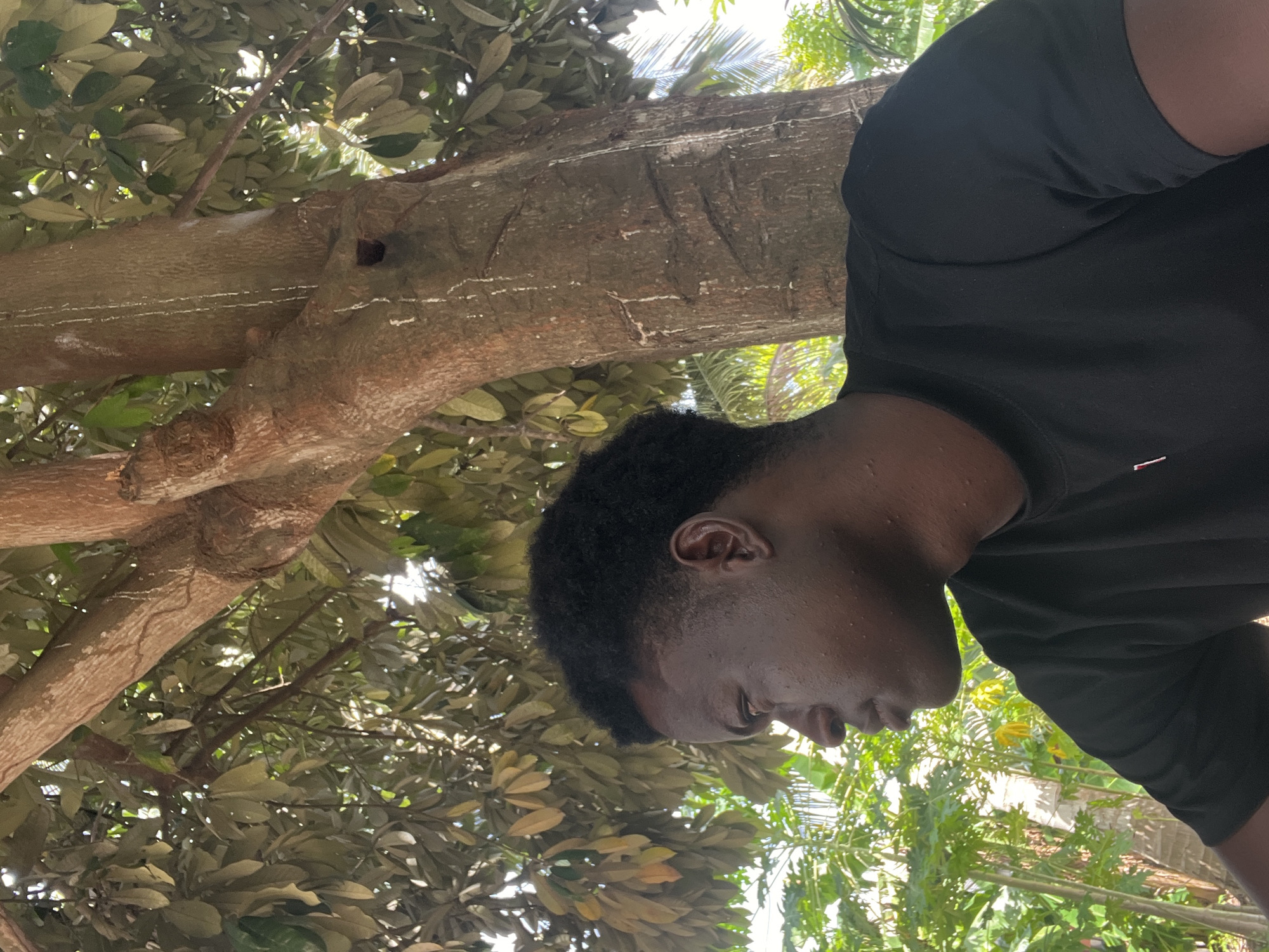 Young people gather under trees in Badagry, Nigeria