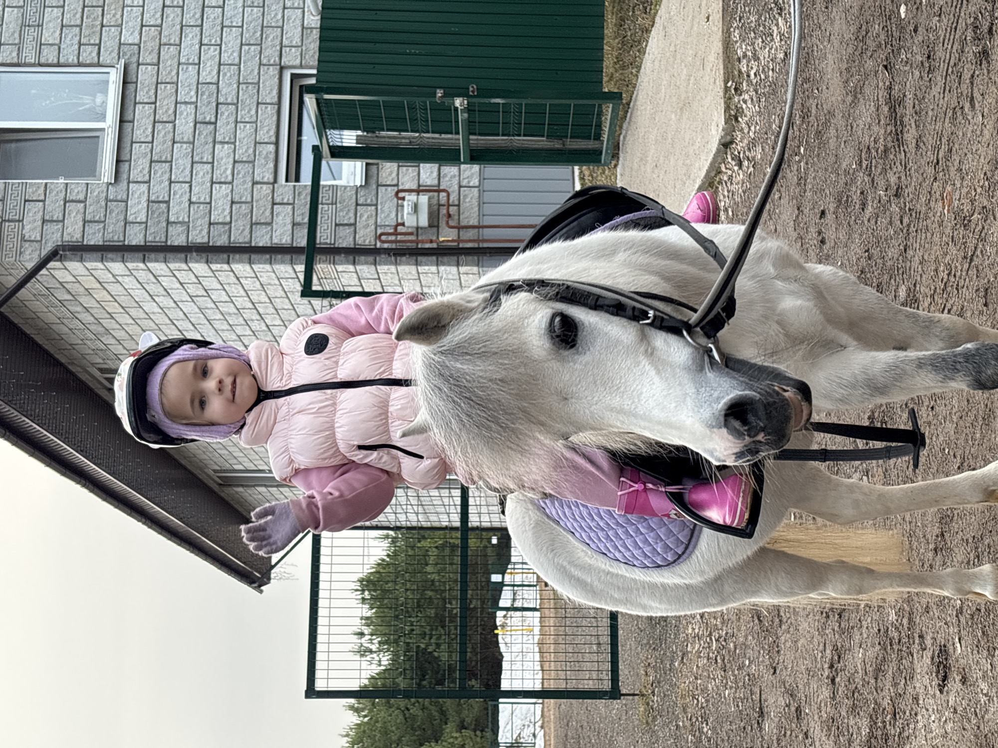 Horse in paddock, woman resting observed in rural Russia