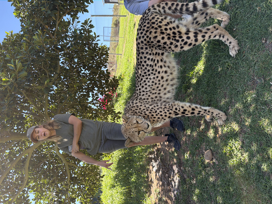 Woman encounters cheetah at South African wildlife facility
