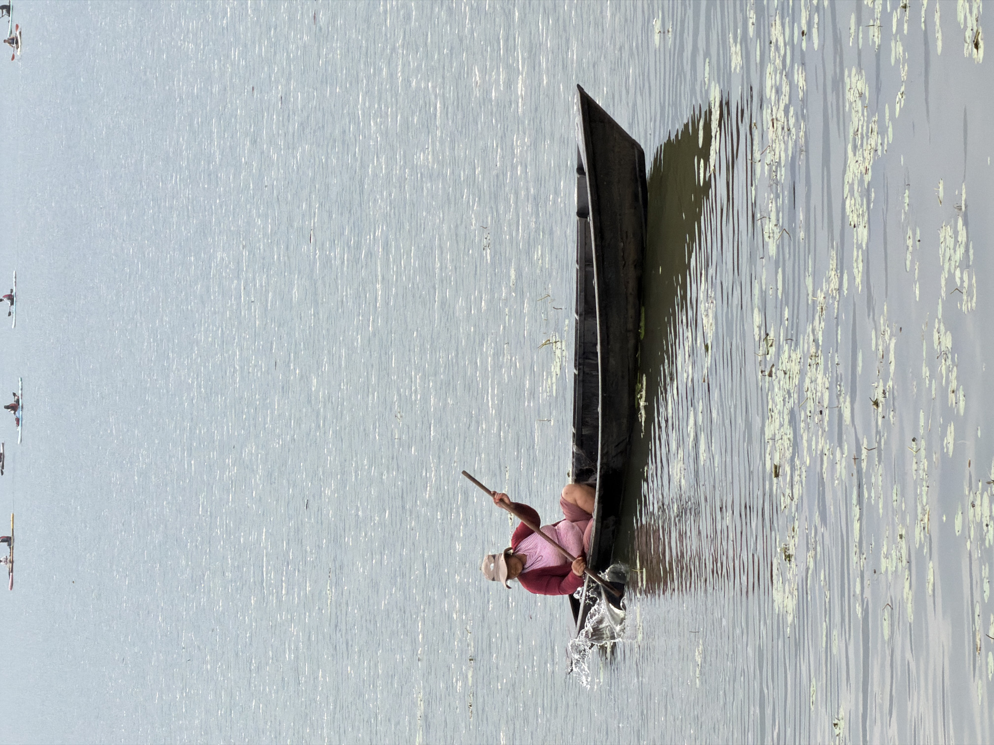 Morning scenes from Pokhara: lake boating, lakeside moments, digital work