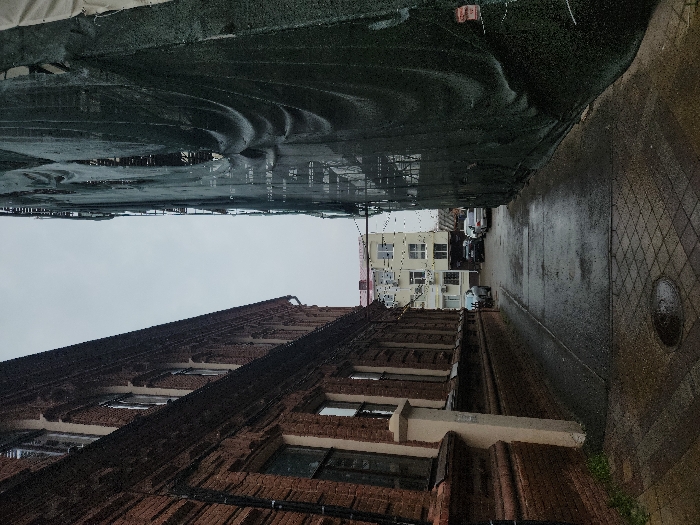 Morning street photography documentation across central Krasnodar under overcast skies