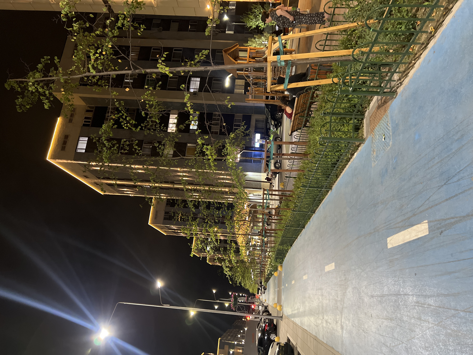 Almaty neighborhood at night: bike paths, blooms, and golden lights