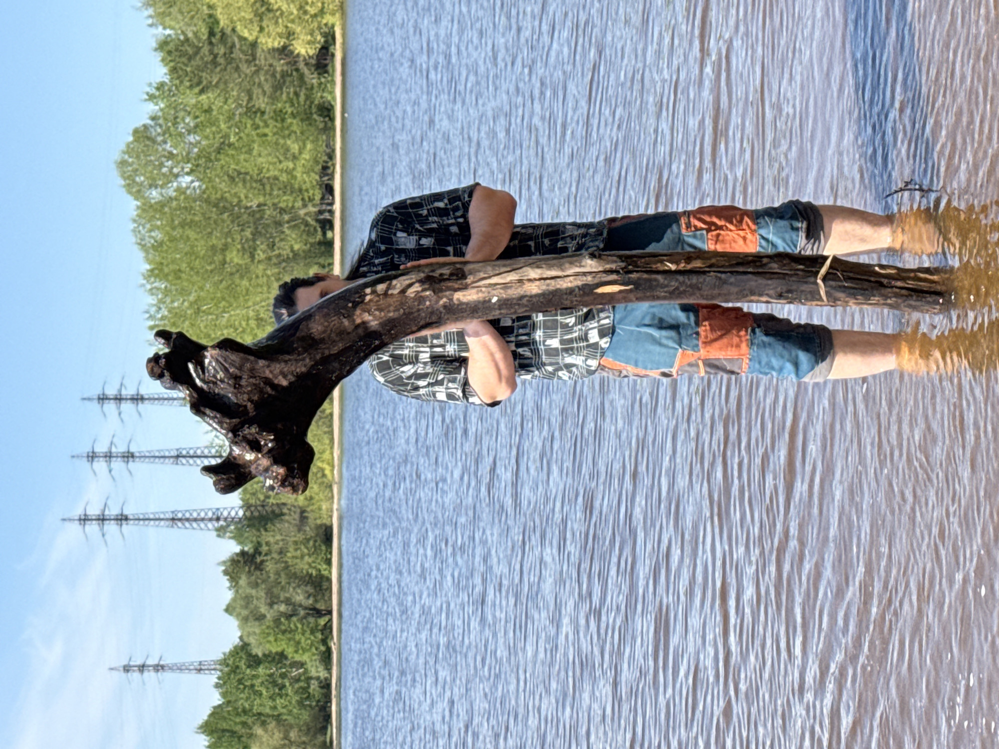 Early morning driftwood collecting documented on Russian beach