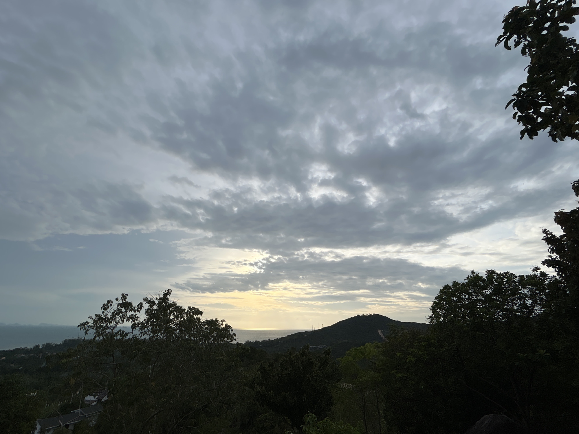 Nature walk documented across Koh Phangan hillside forest