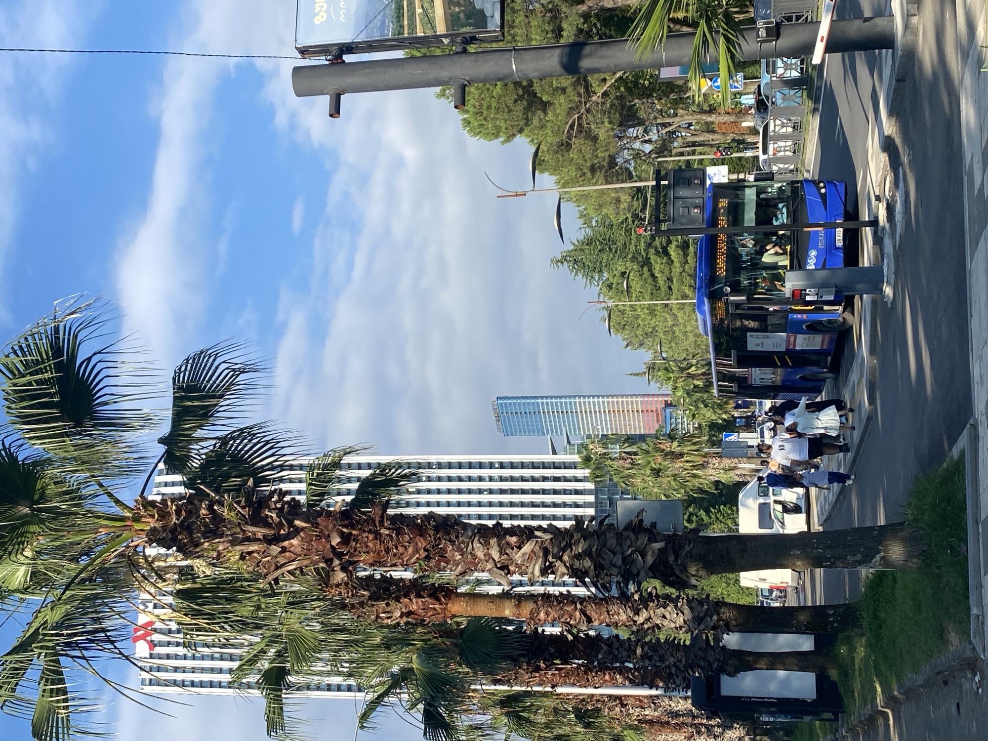 Afternoon stroll along Batumi's palm-lined boulevard