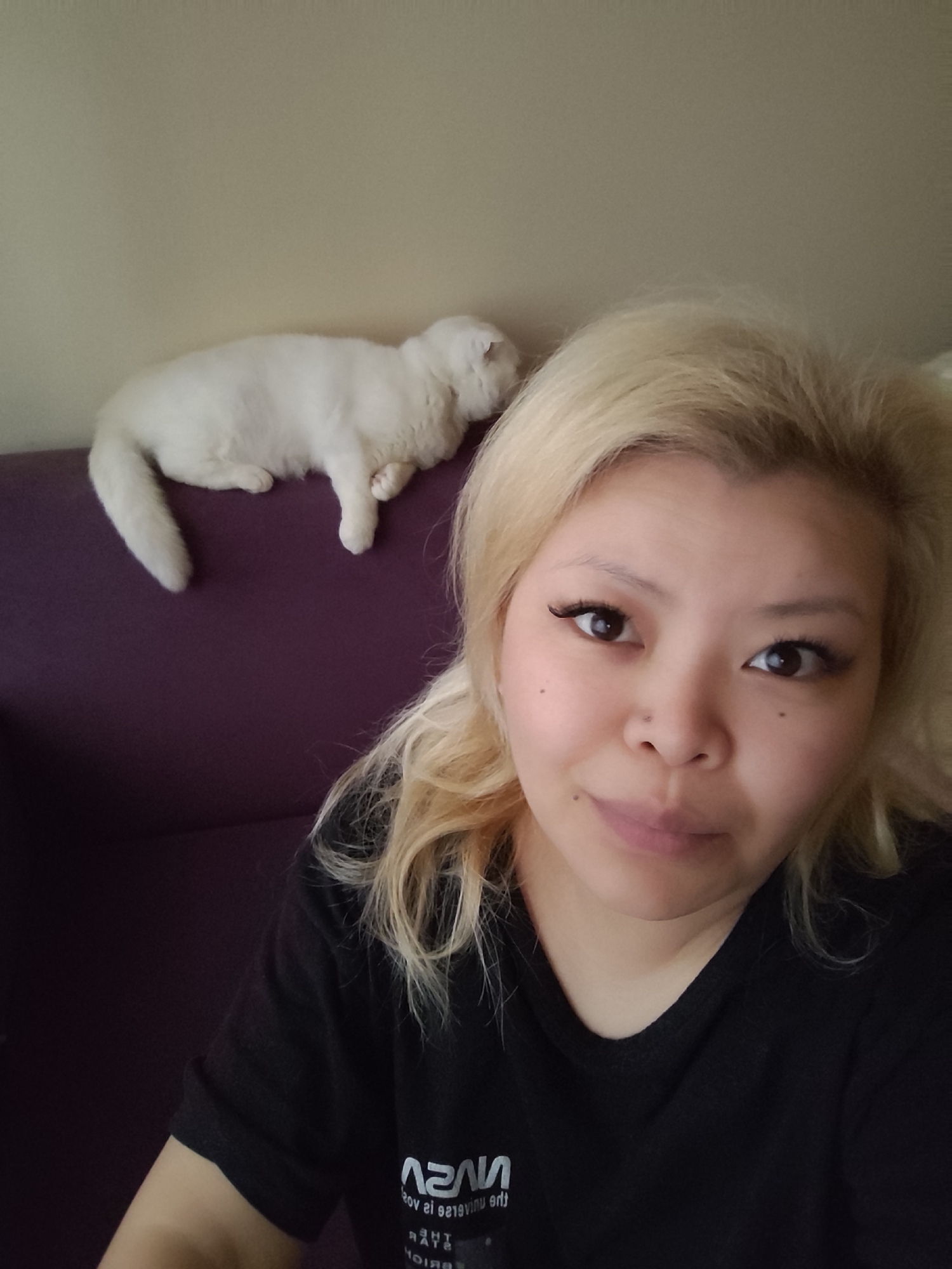 Morning domestic life with white cat documented in Sarıyer