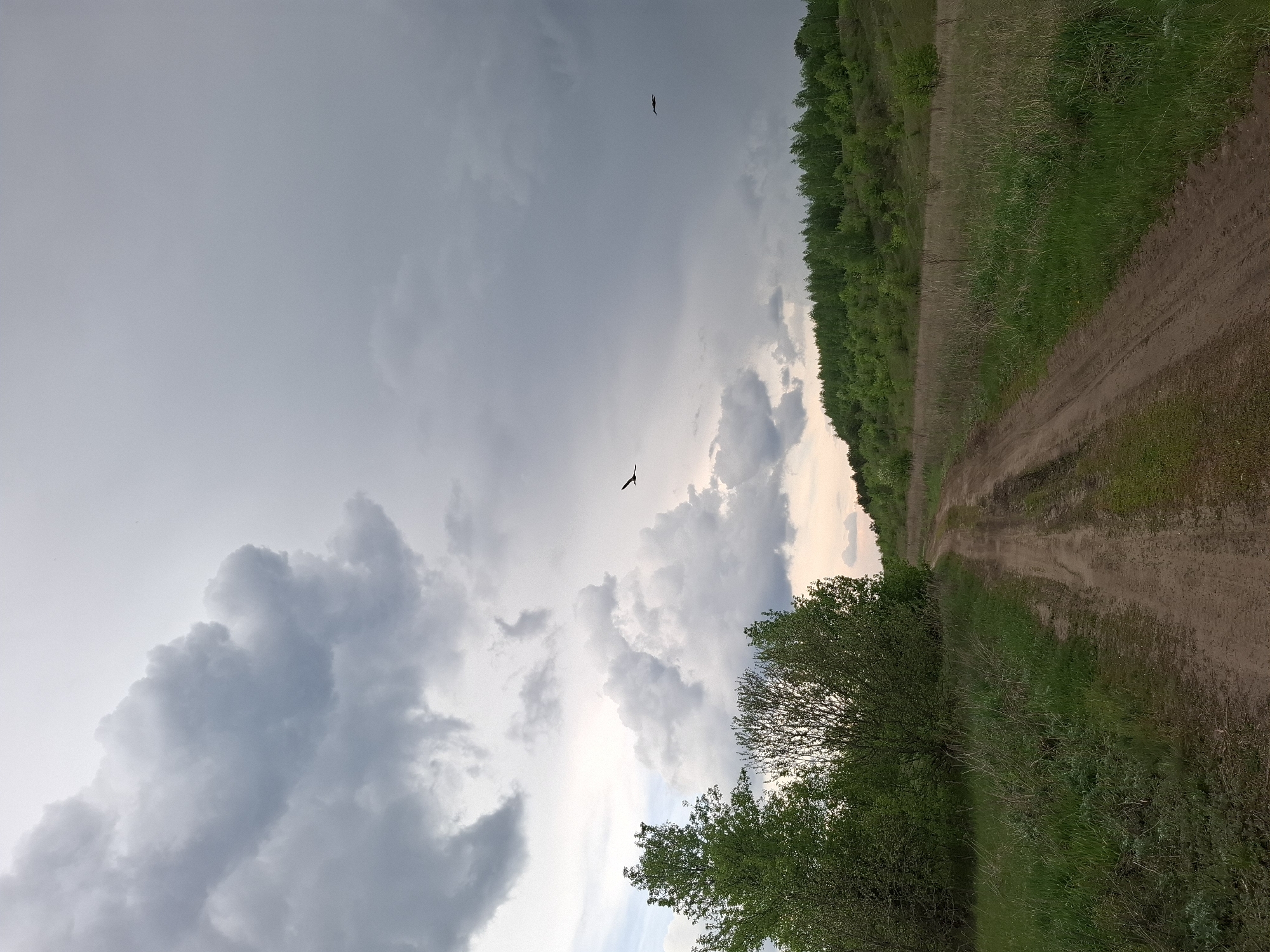 Spring blooms and rural roads observed in Khlevnoye, Russia
