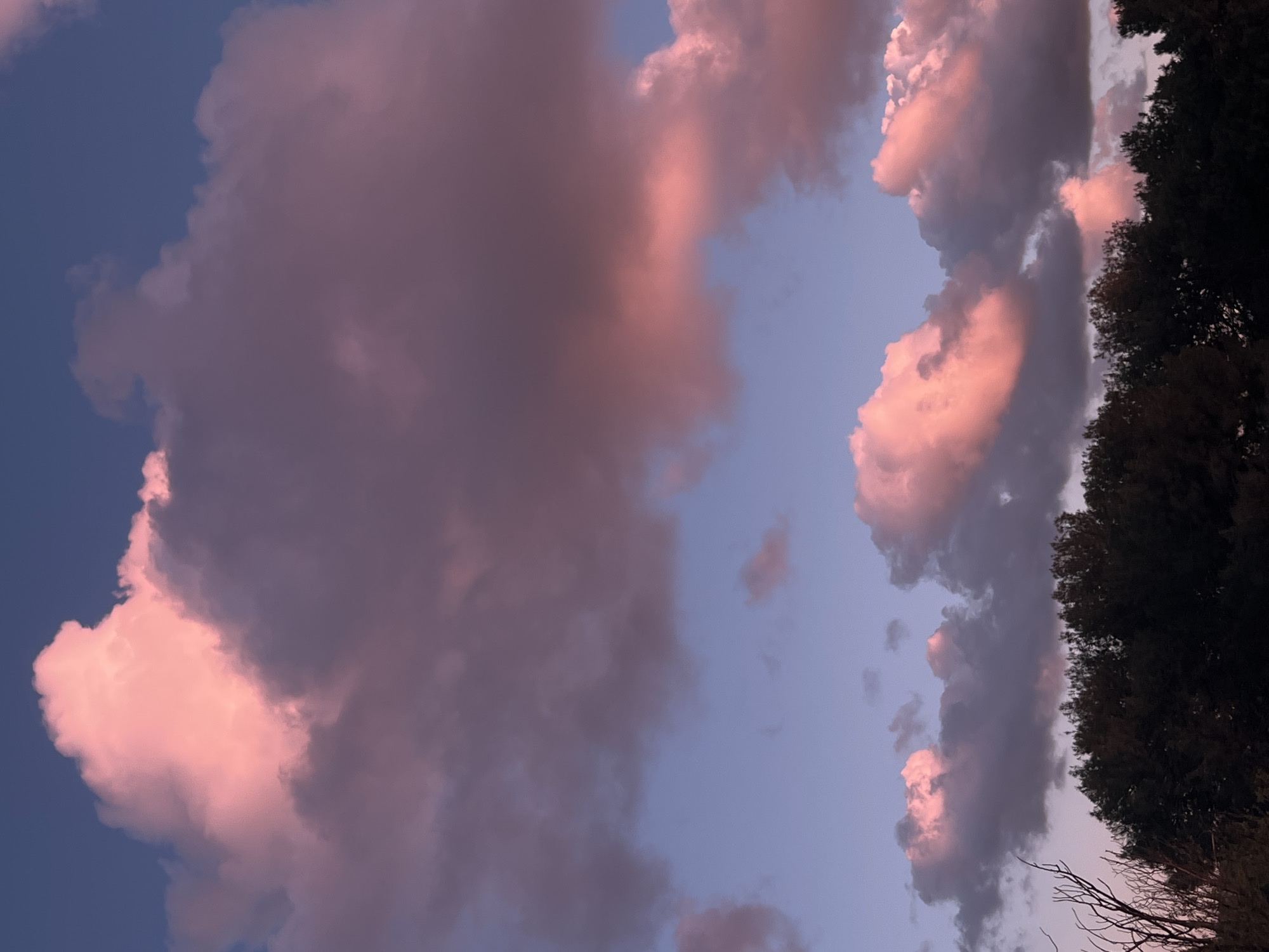 Evening sky and family moments documented in Kiryat Bialik