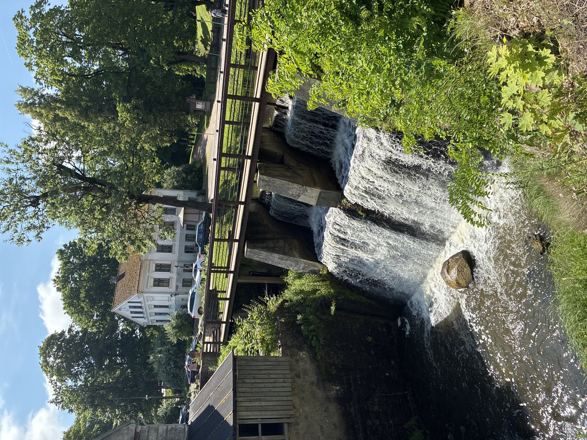 Kuldīga morning: river, storks, and autumn detail