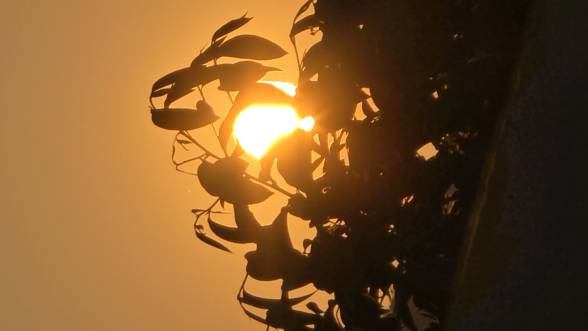 Hazy sunset captured at Vietnam heritage area