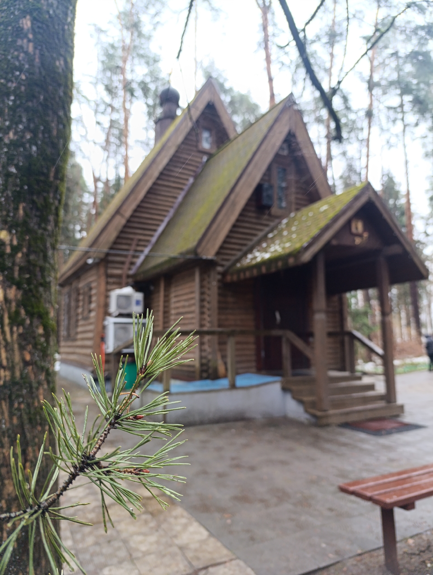 Woman documents wooden chapel visit during spring in Chernogolovka forest