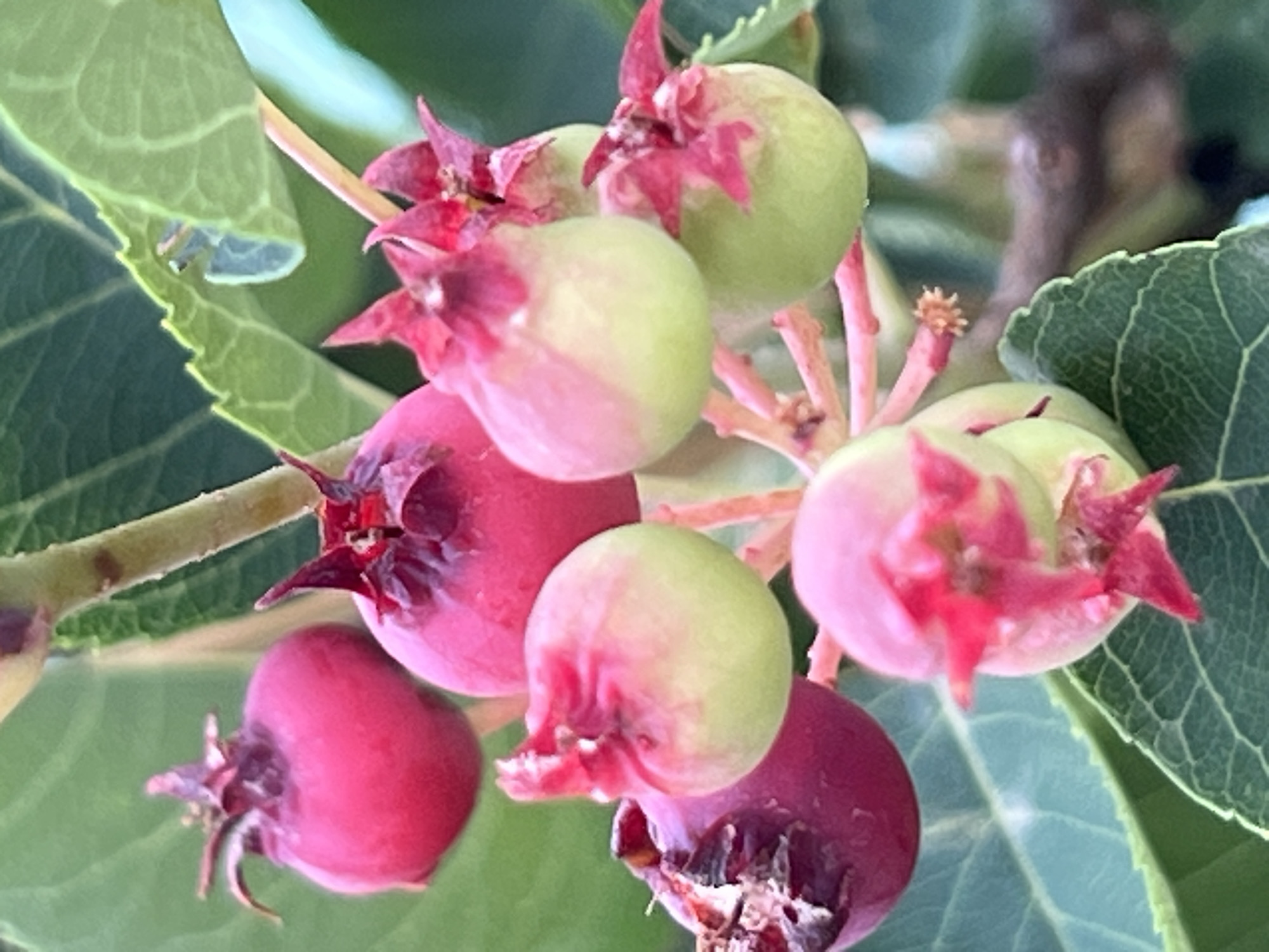 School day in Chaikovsky: gym sessions, classrooms, and local nature