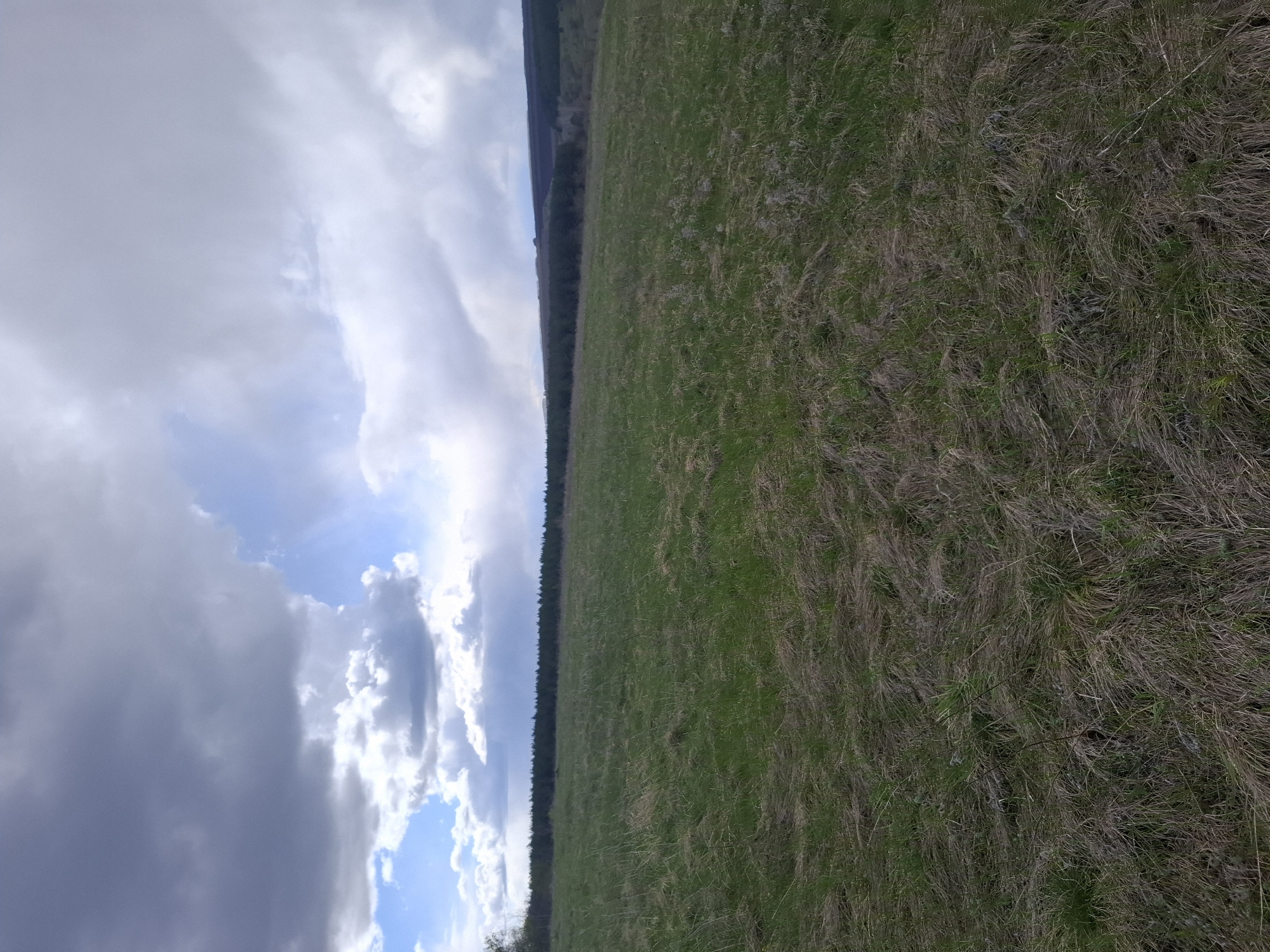 Spring countryside documented in rural Russia over 16 minutes
