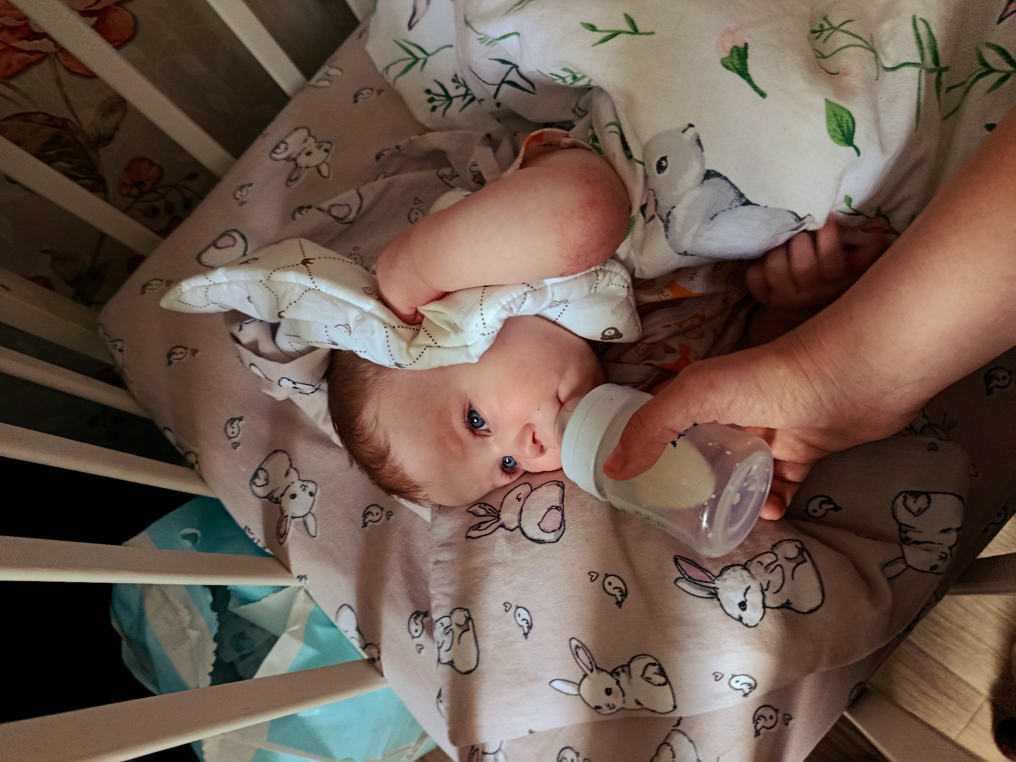 Morning childcare and personal grooming routines in Russian household