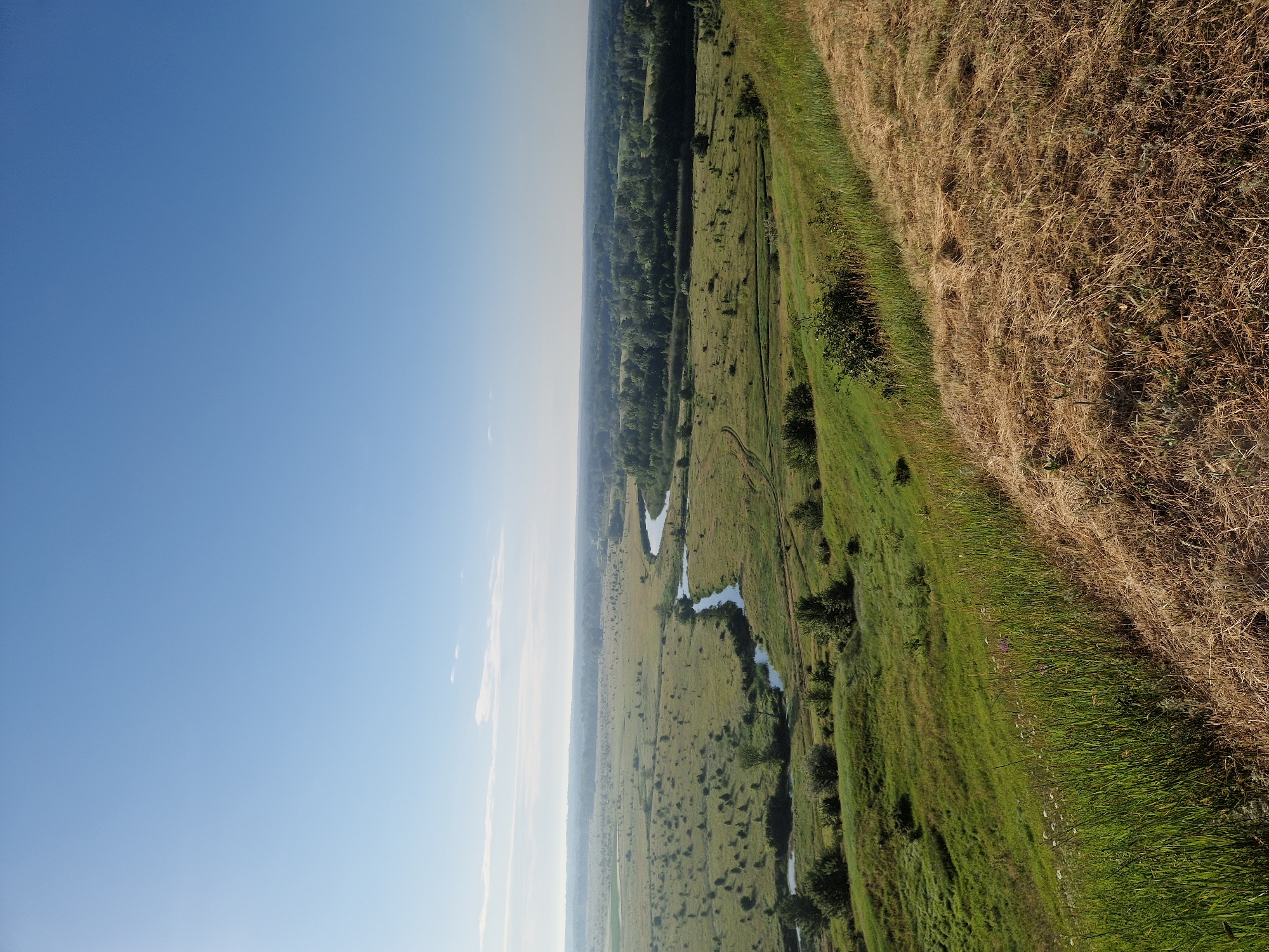 Rural sunflower fields and hillsides documented in 30 memories