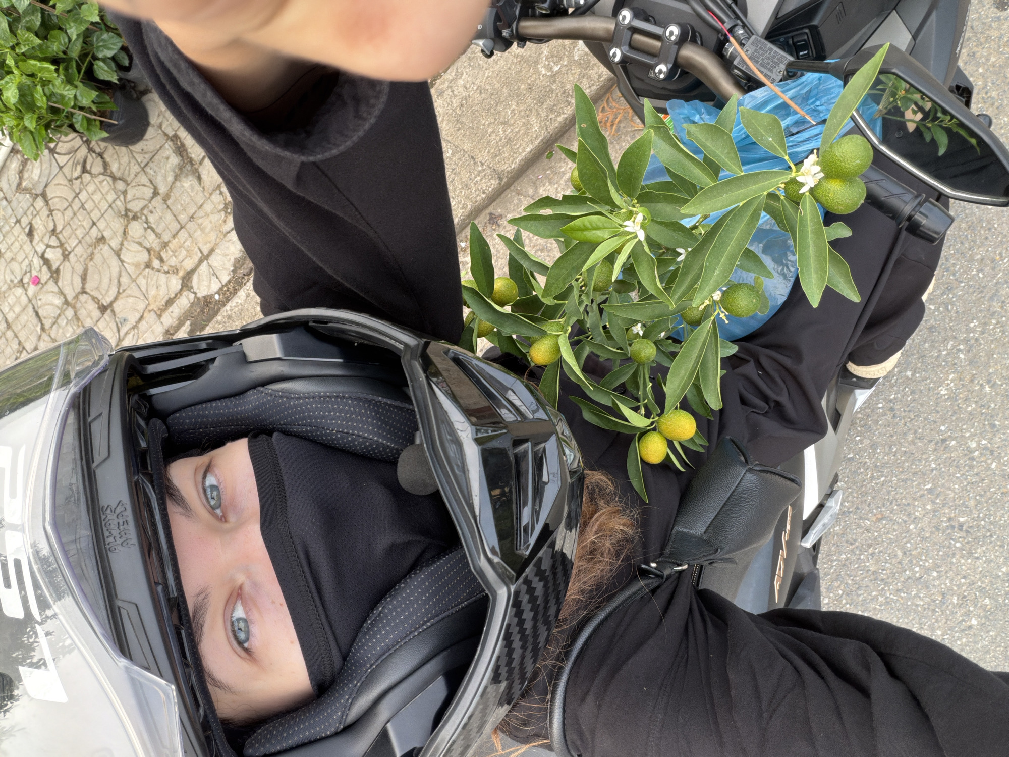 Masked motorcyclist takes selfie while transporting plant in Đà Nẵng