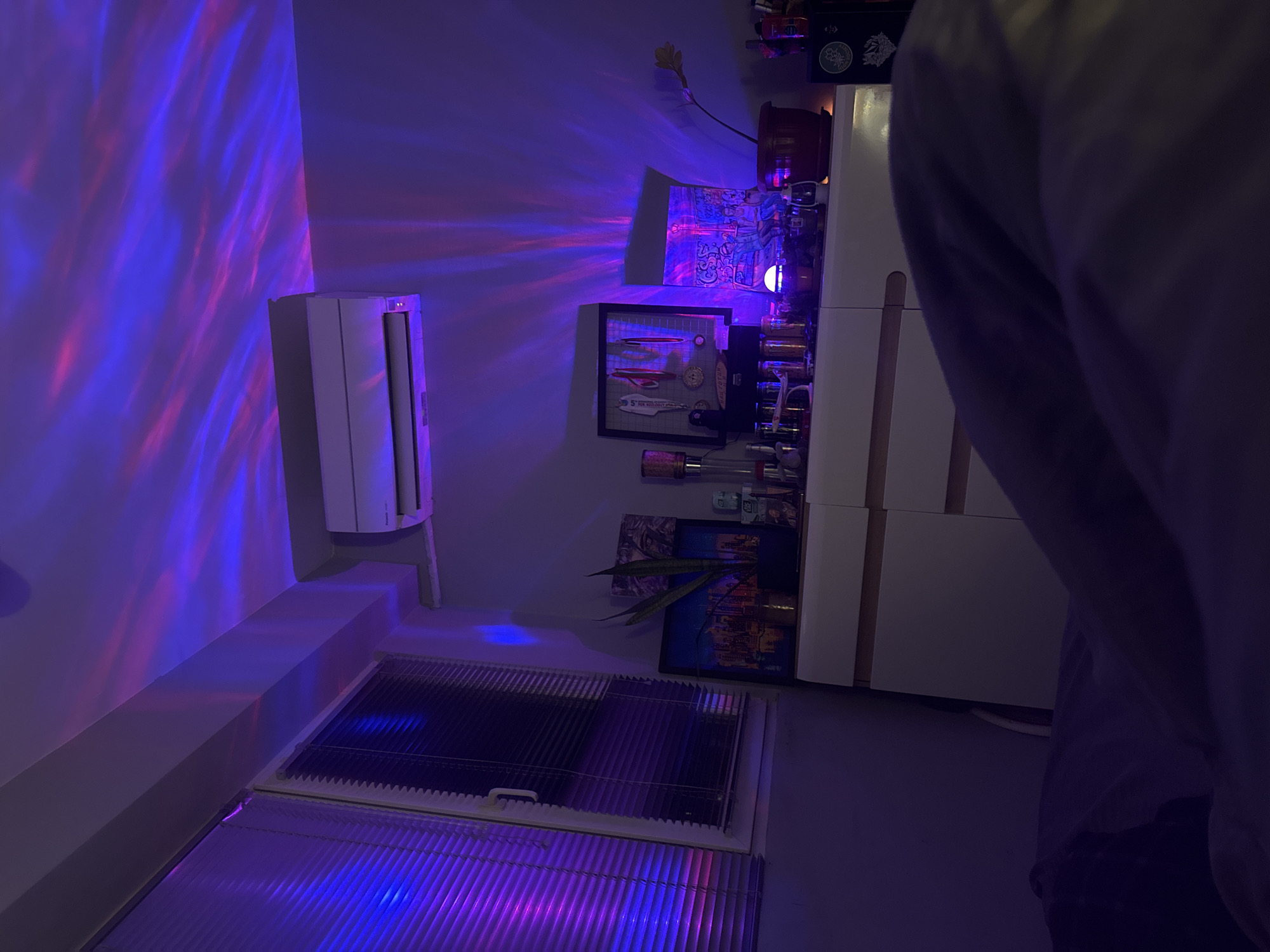 Interior space captured under colored lighting in Bulgaria