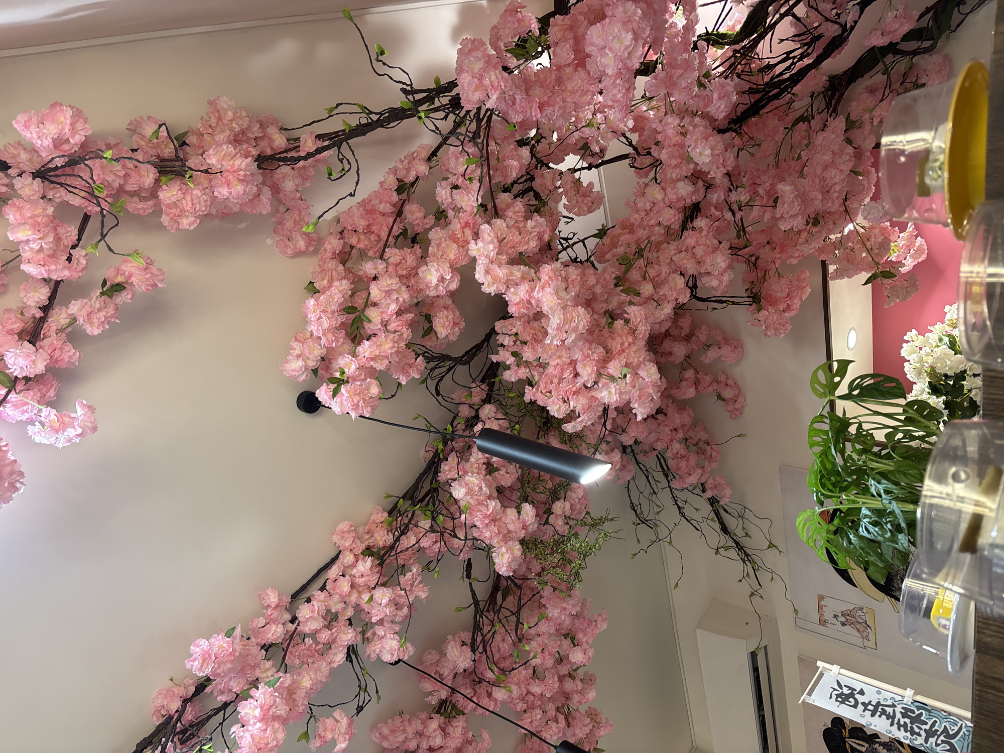 Lunch at a Japanese-themed spot in Yerevan