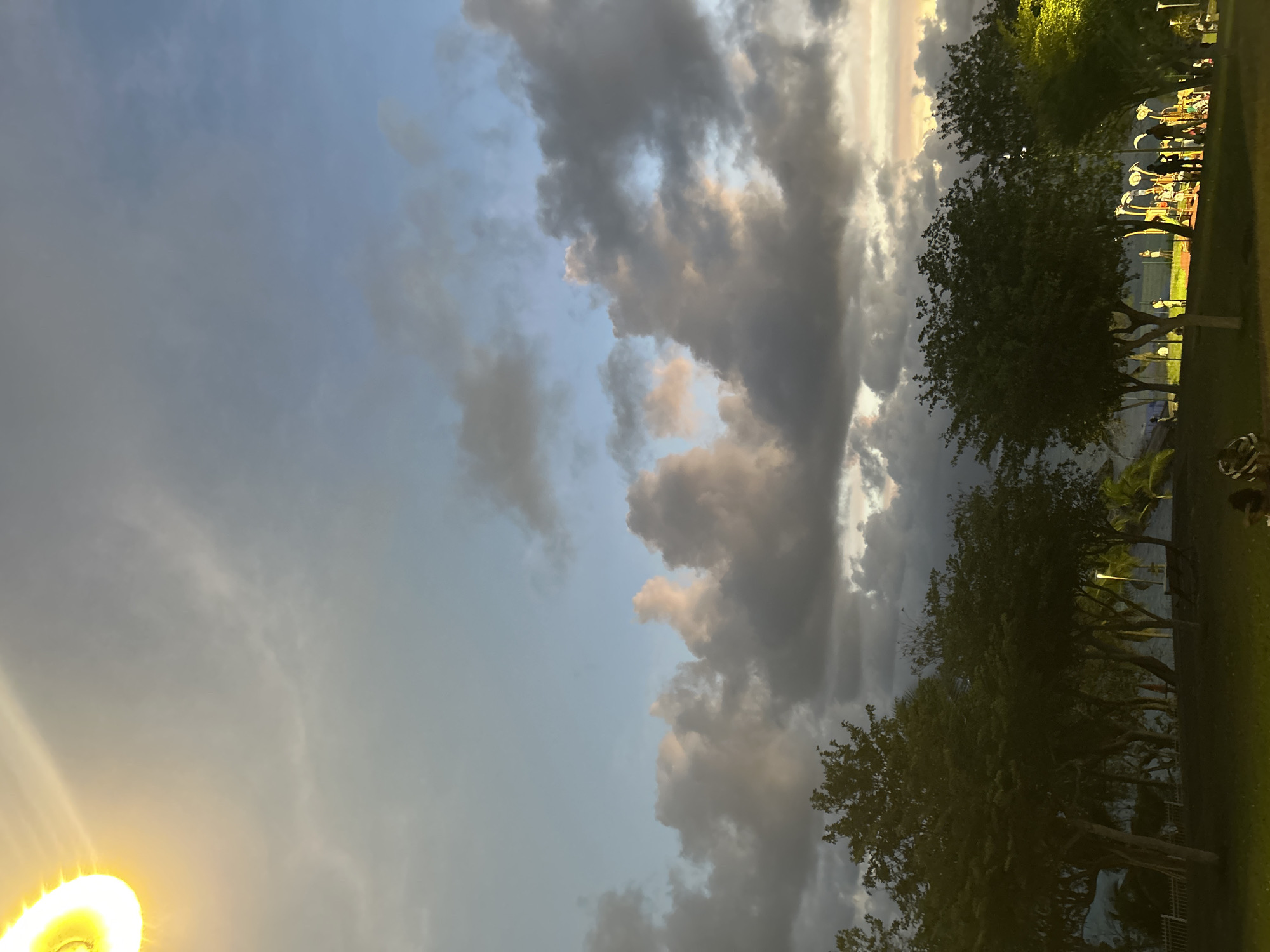 Evening nature scenes captured in urban park setting