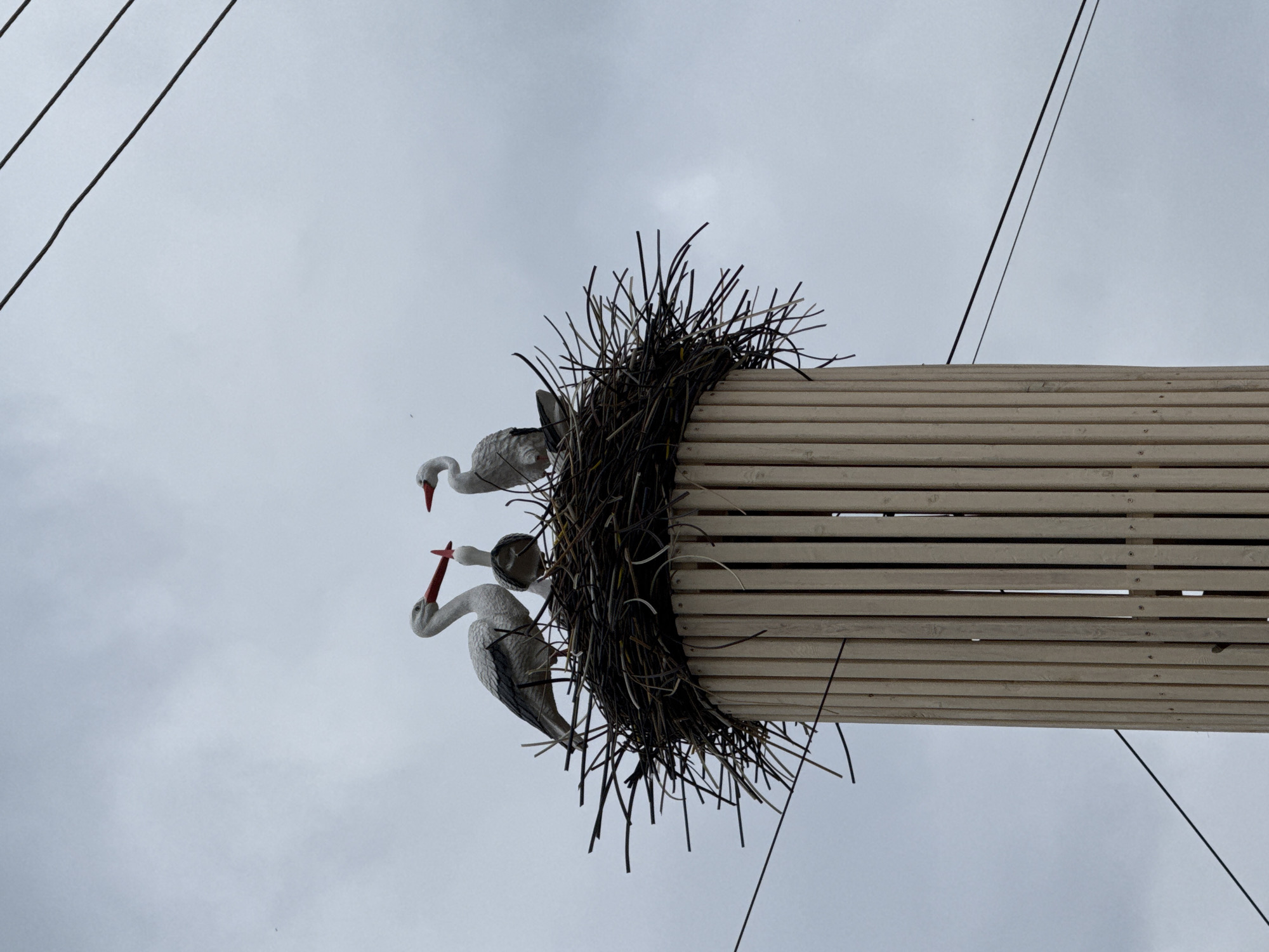 Storks nest among summer preparations in Votkinsk, Russia