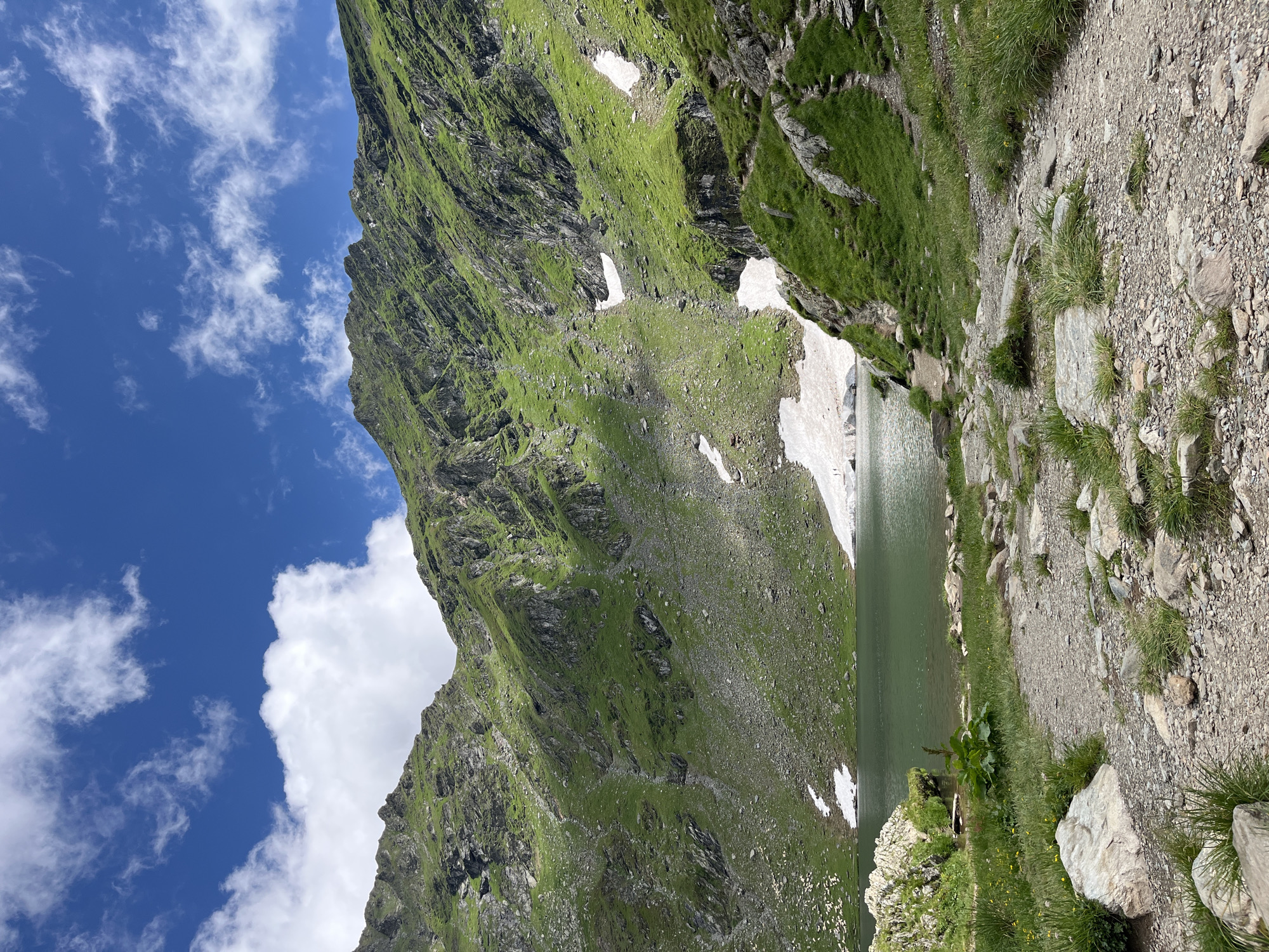 Glacial lake and alpine wildflowers, Cârțișoara, Romania