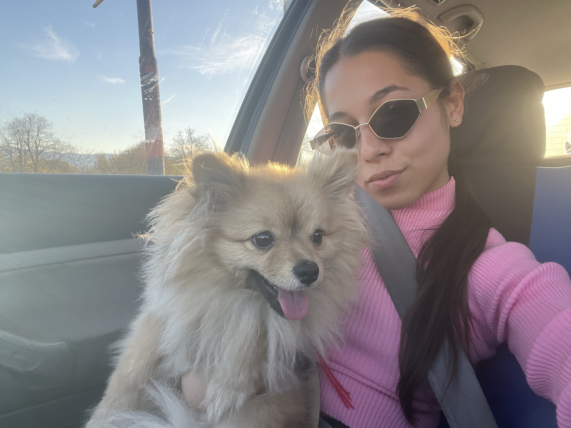 Woman and Pomeranian dog buckled up together in car
