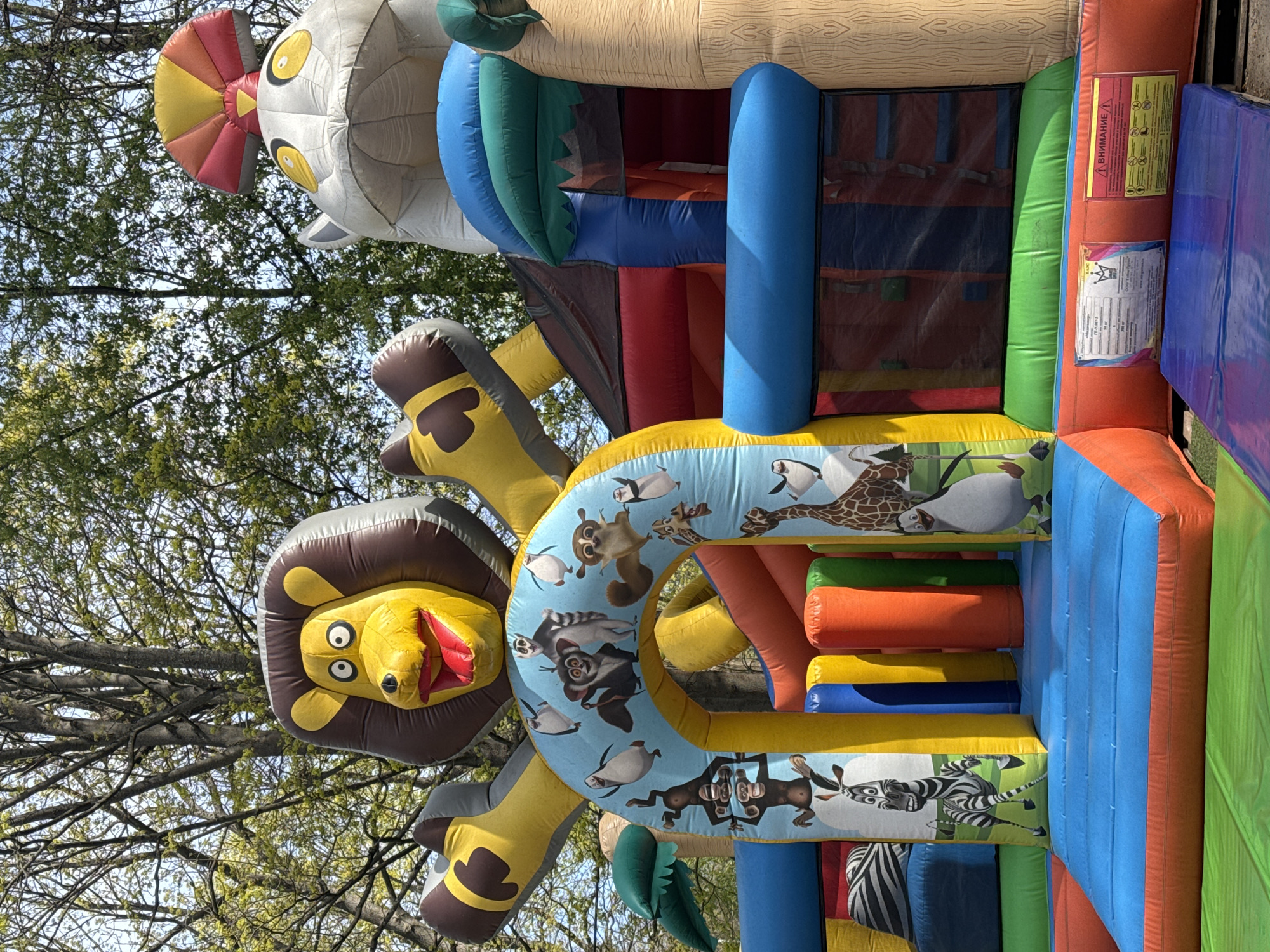 Morning park visit documented in Saint Petersburg spring setting