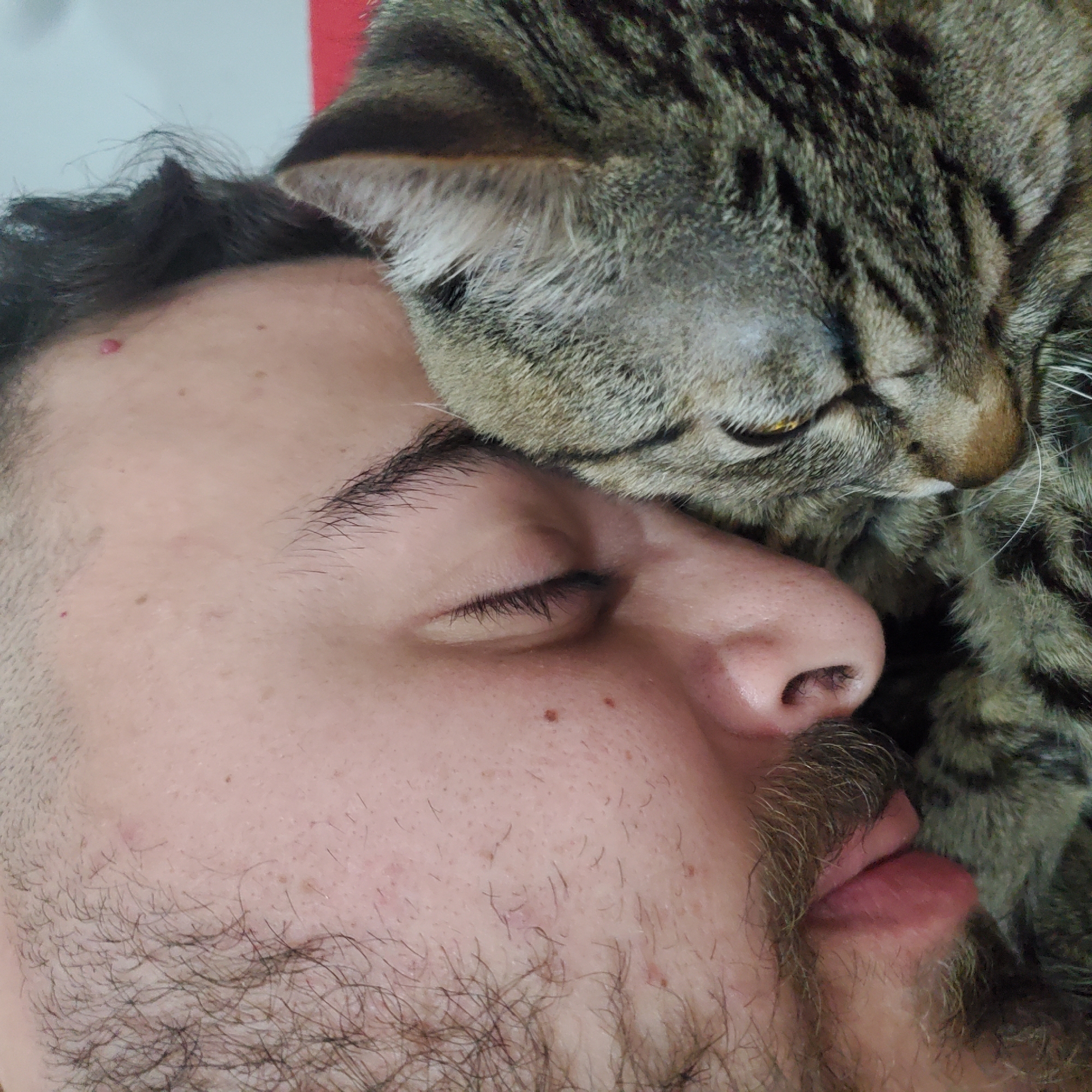 Man and tabby cat share quiet moment in Curitiba