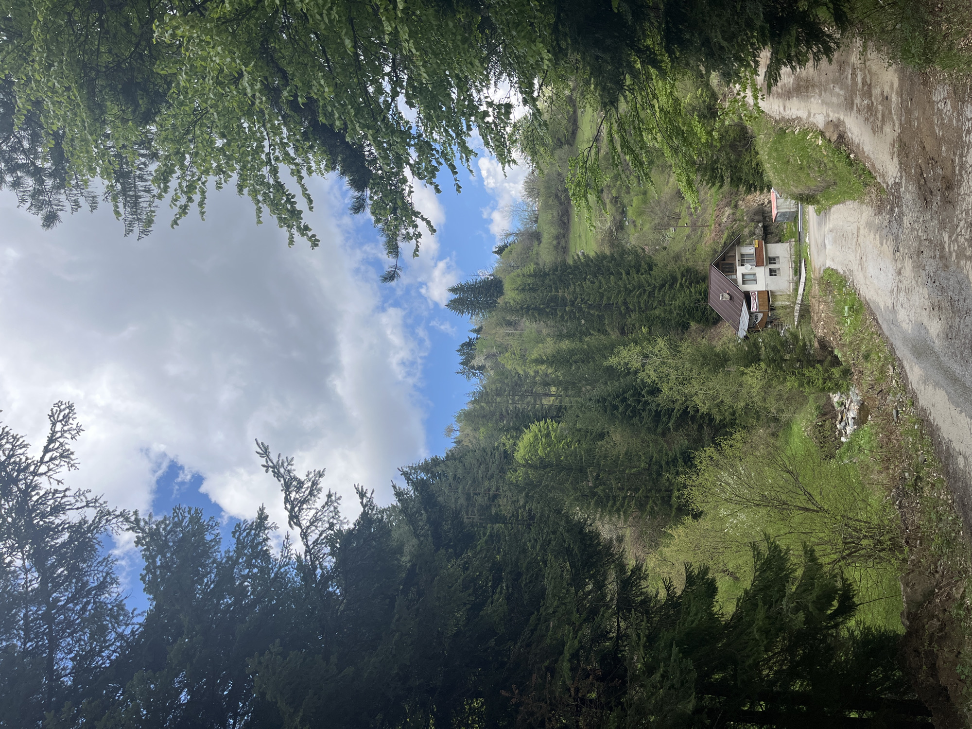 Spring forest drive documented near Drianovo, Bulgaria