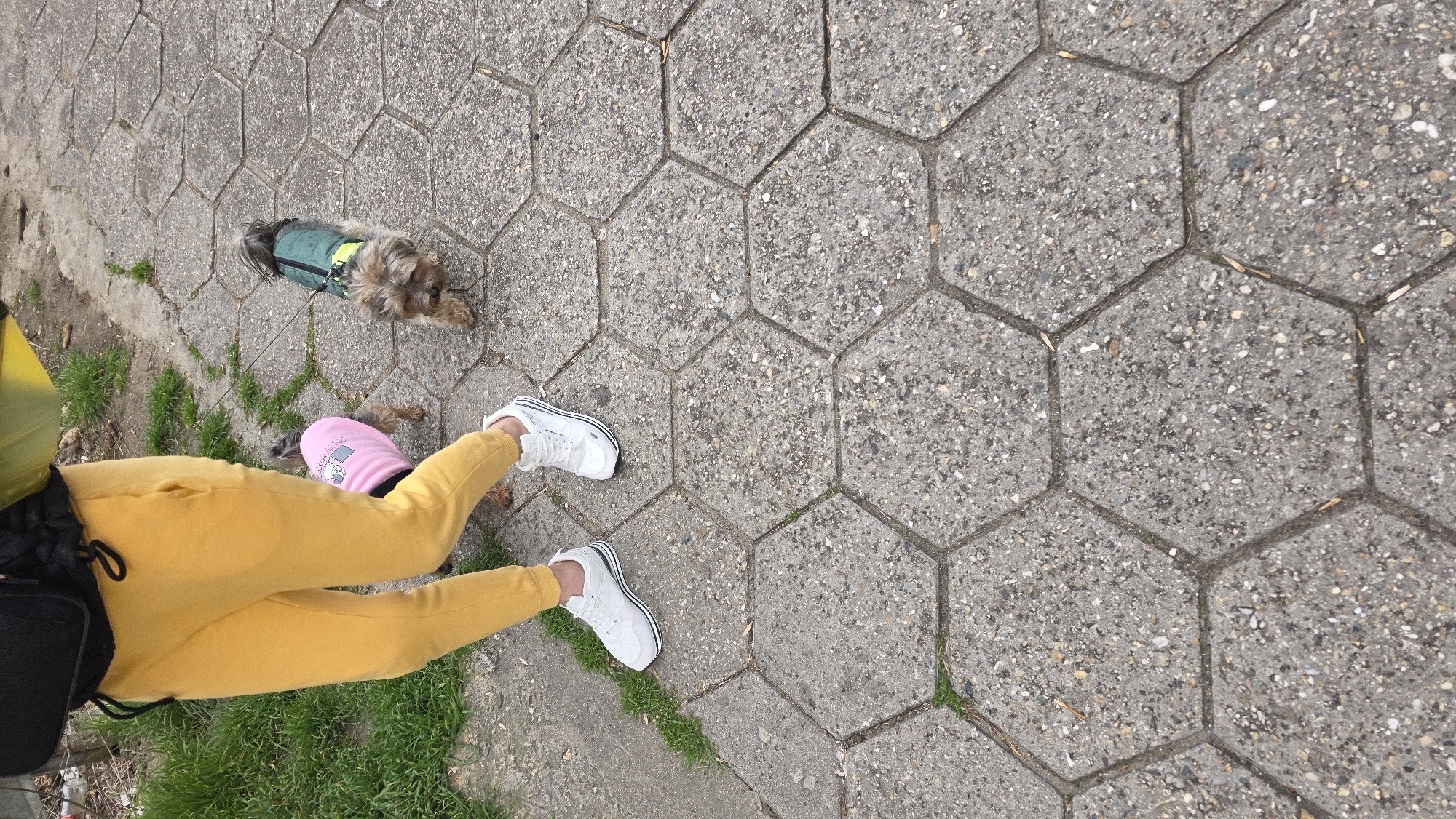 Afternoon street life documented across Blagoevgrad city center