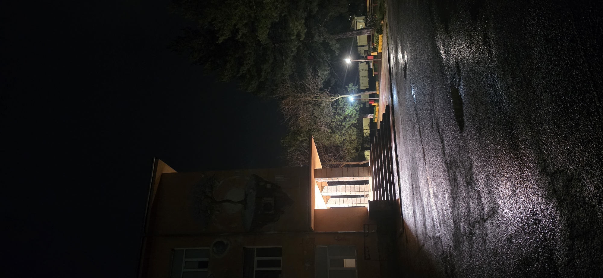 Wet nighttime street scene captured in Smyadovo, Bulgaria