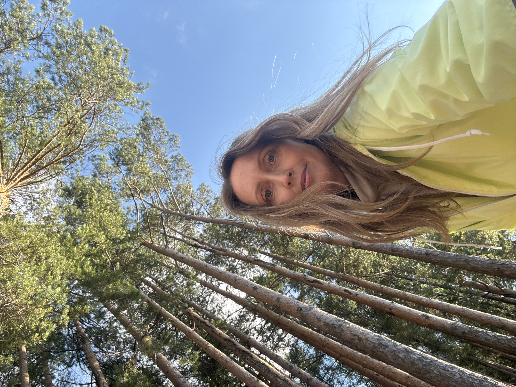 Sunny afternoon by the lake in Chaikovsky's pine forest