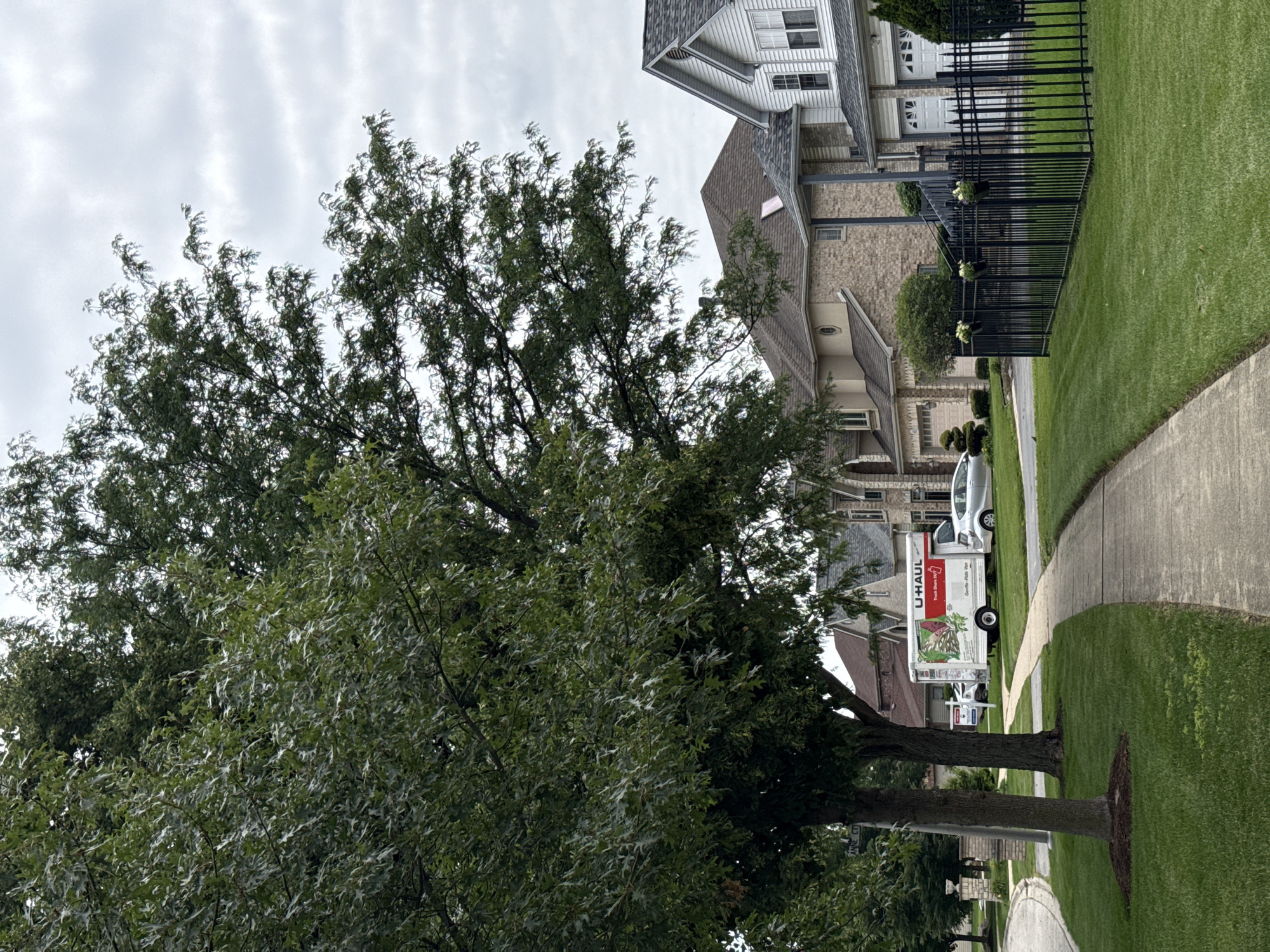 Afternoon in Bolingbrook: suburban streets and an IKEA run