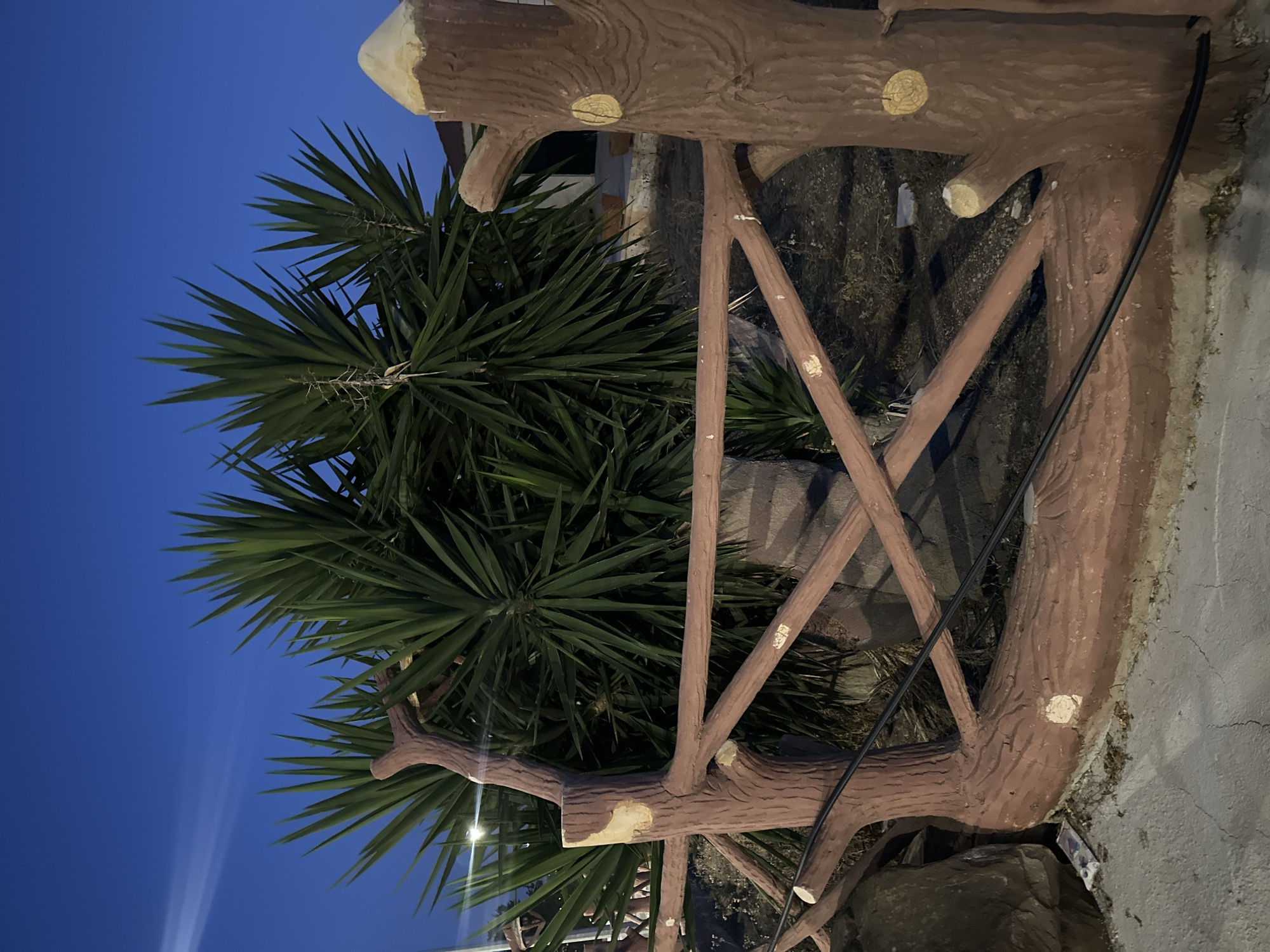 Summer night in Peyia: bars, pools, and palm-lined streets