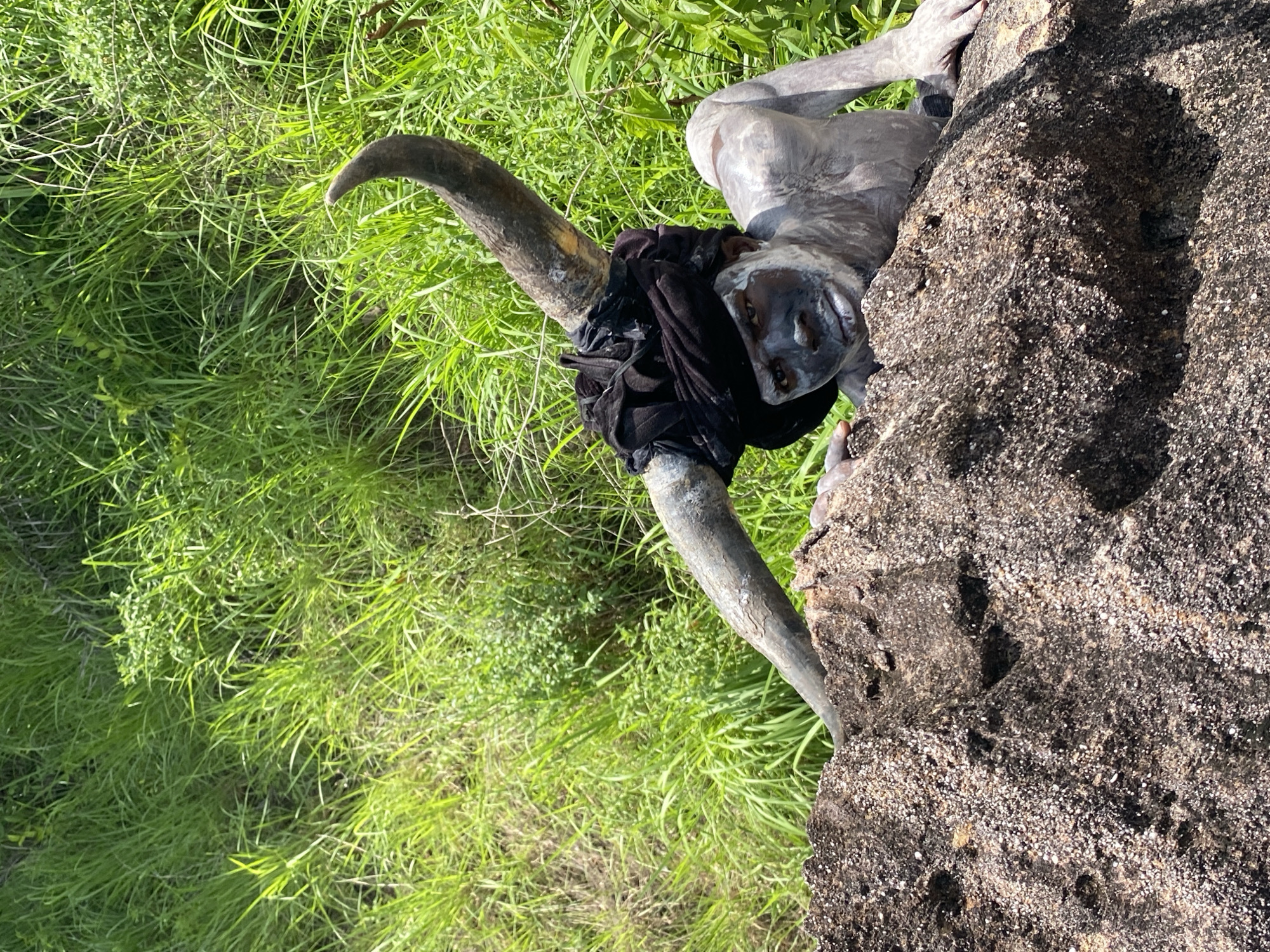 Horned costumed figure documented on rocks in Ufueseni, Nigeria