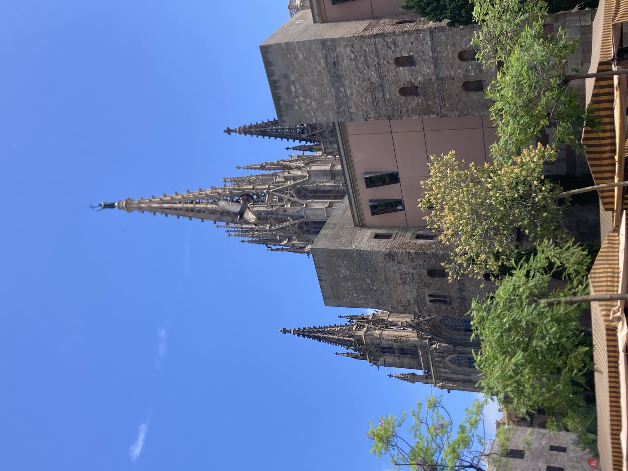 Wandering Barcelona's Gothic Quarter: markets, murals, and architecture