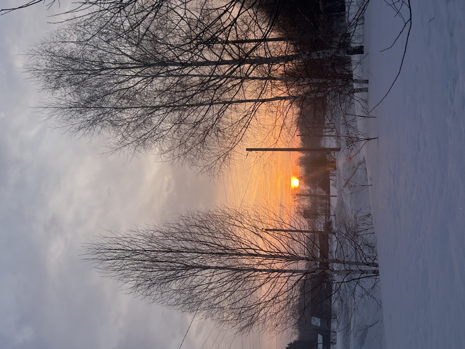 Winter morning documented in Sergino, Russia with landscapes, medals