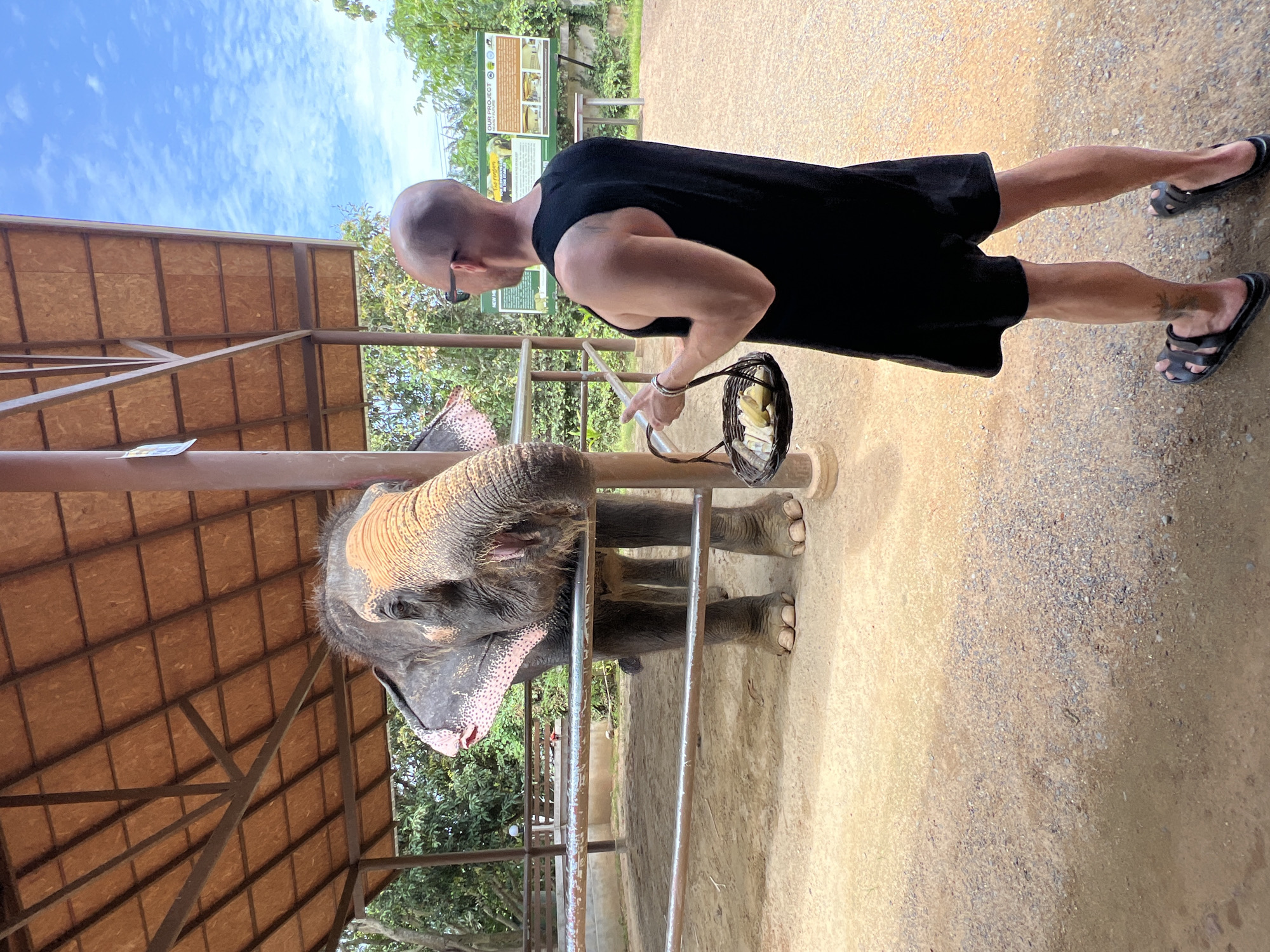 Tourists feed elephants at Baan Thurian sanctuary, Thailand