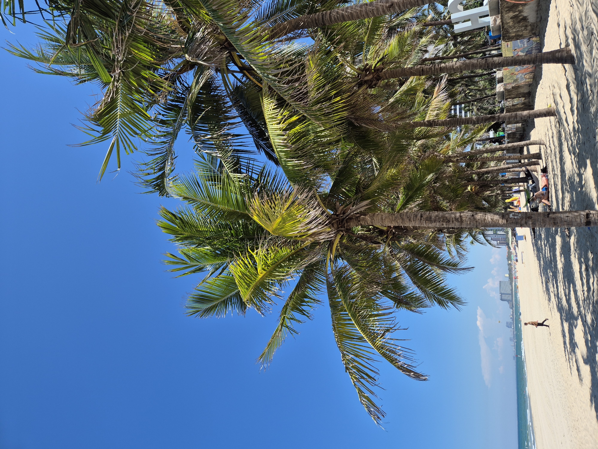 Da Nang's beachfront and city streets on a clear summer morning