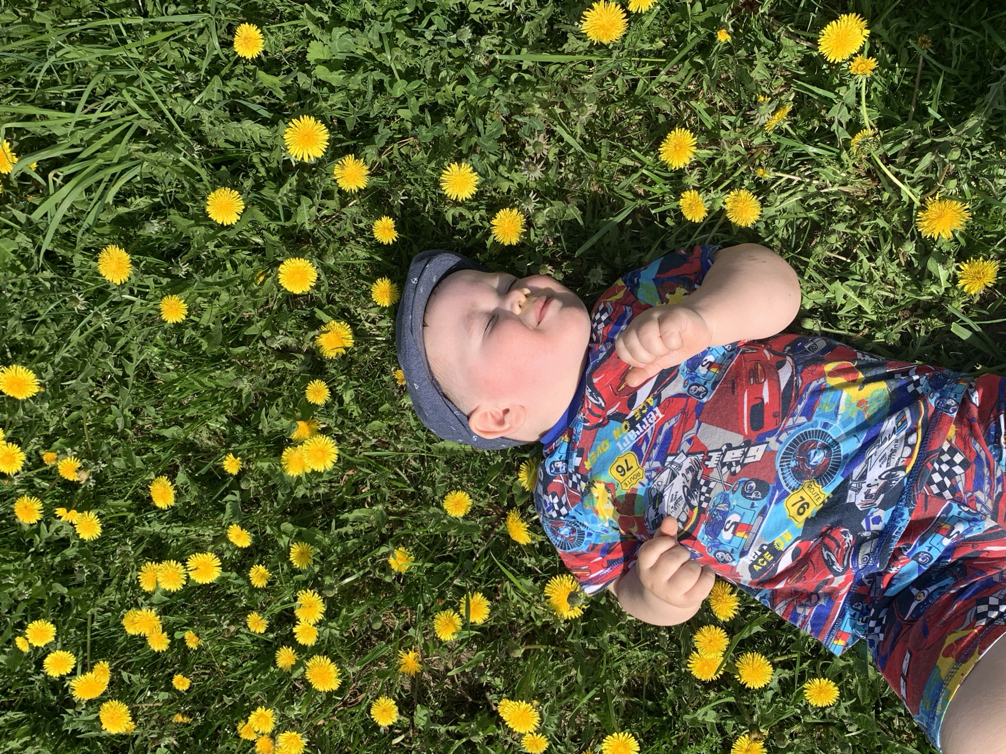 Child rests in dandelion field in rural Russia