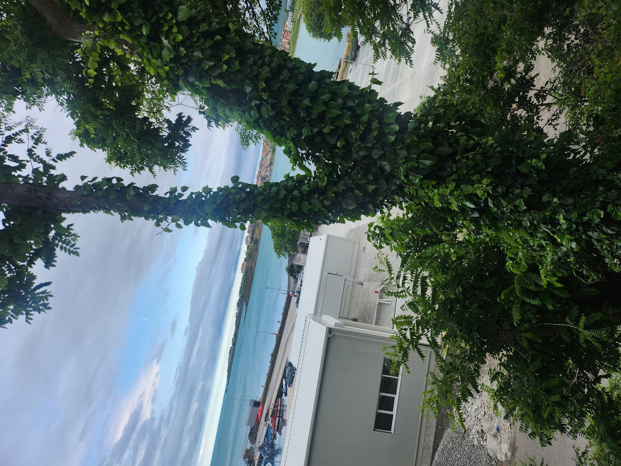 Afternoon documentation captures Tsarevo's harbor and parks over 3.5 hours