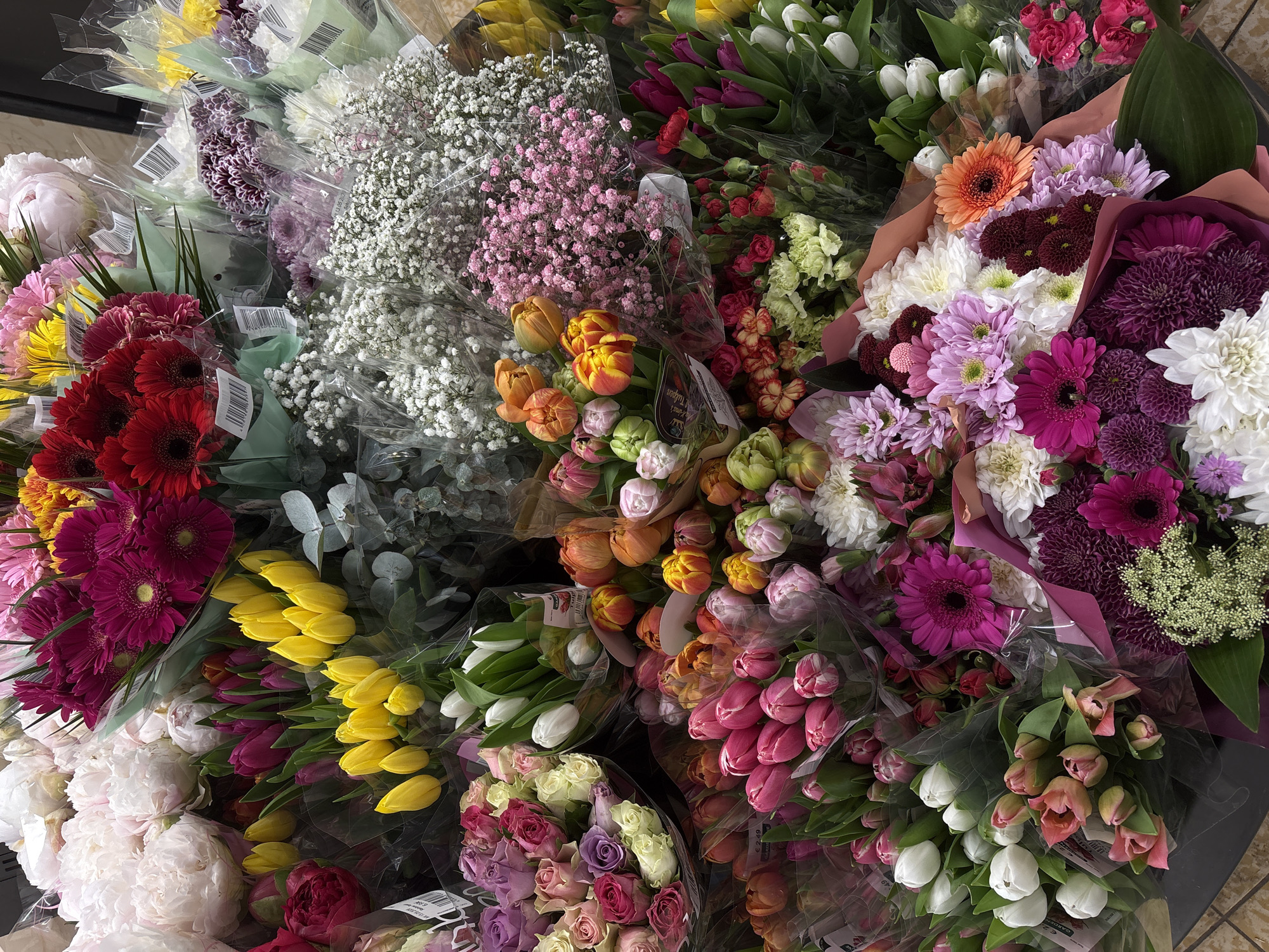 Morning grocery shopping documented in Kaarst, Germany