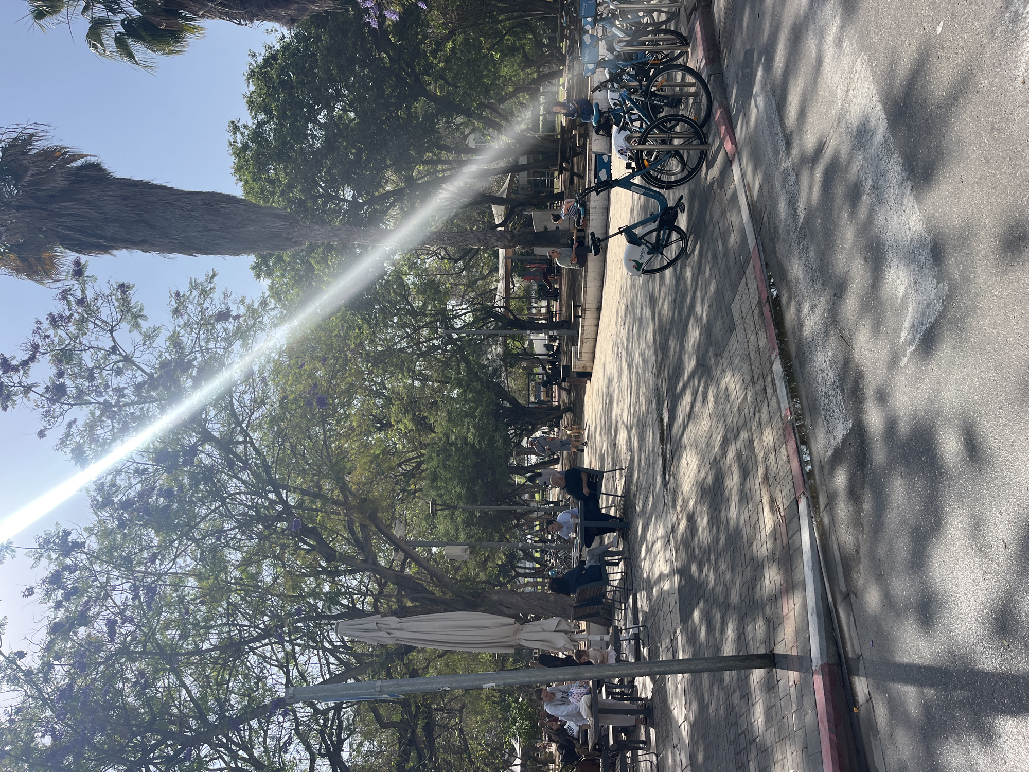 Morning street scene documented in Tel-Aviv