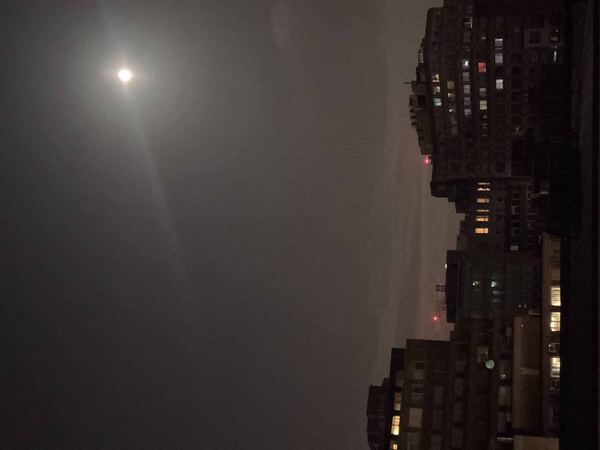 Evening scenes captured in Antwerp: moonlit cityscape, TV wildlife
