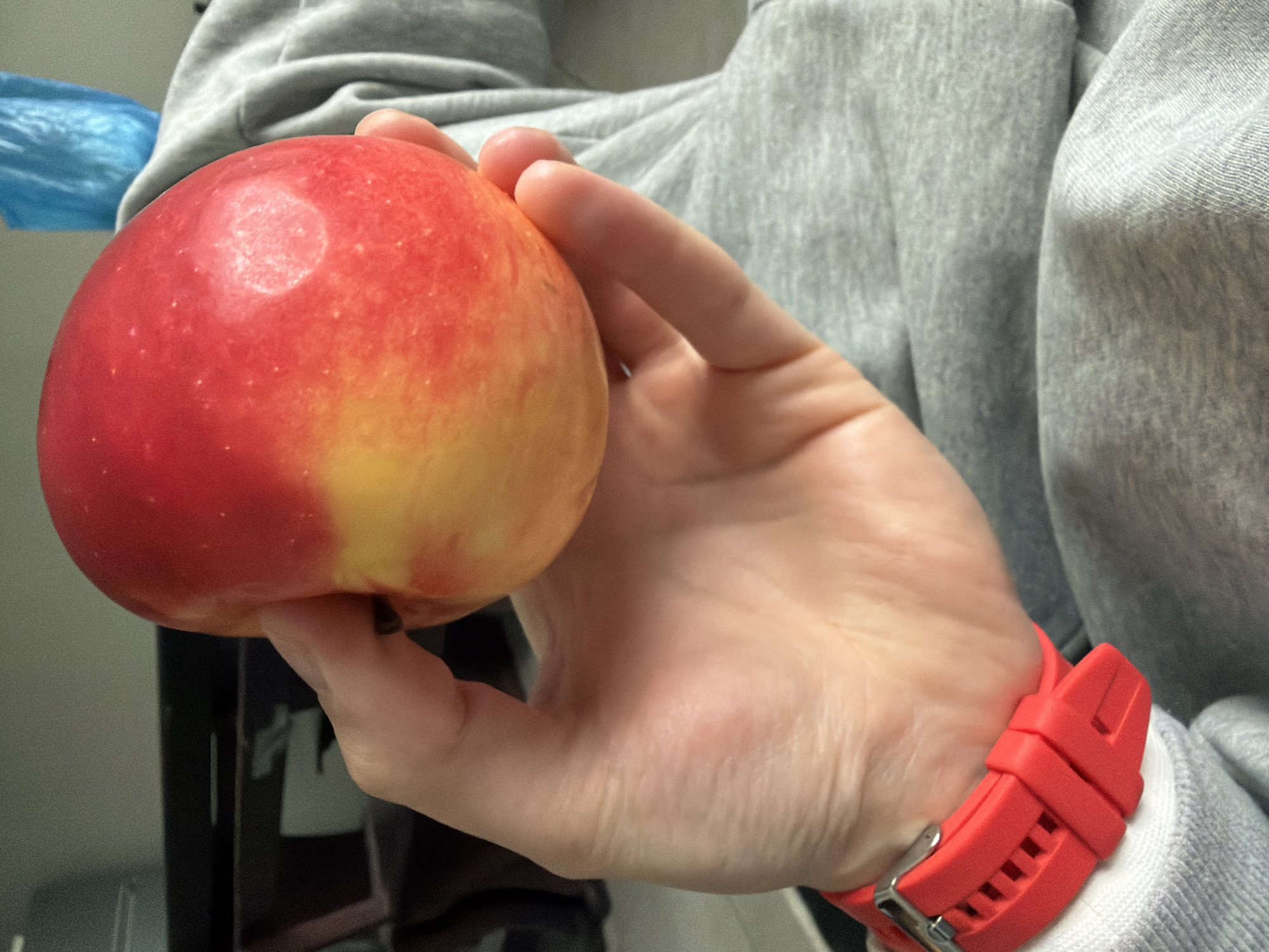 Morning scenes captured in Bulgarian town show apple, misty cityscape