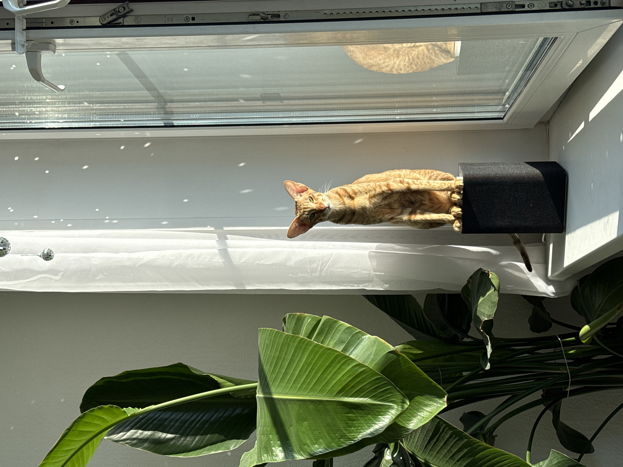 Quiet Sunday morning moments captured in Khimki home