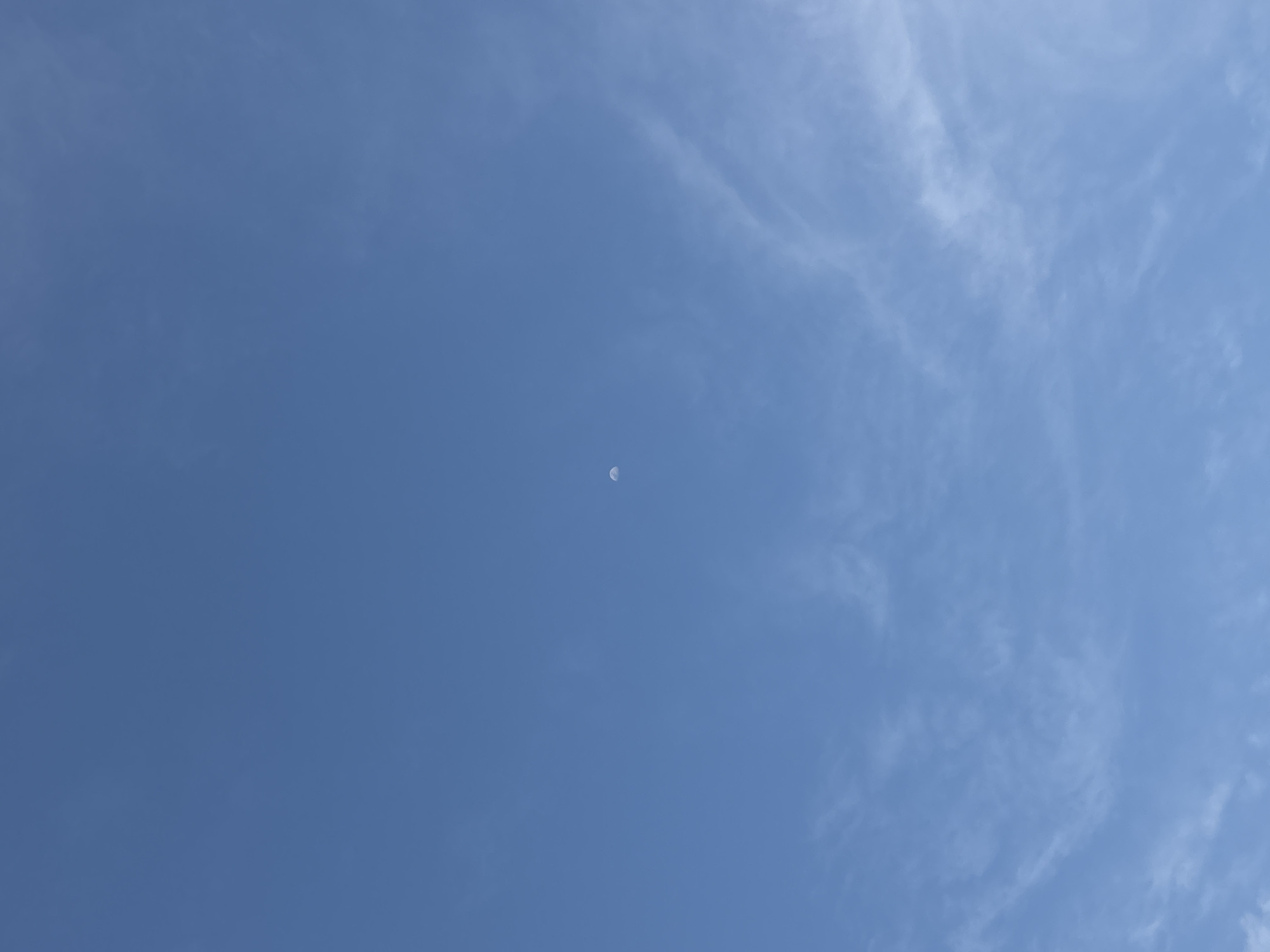 Crescent moon visible in daytime sky over Boca del Río