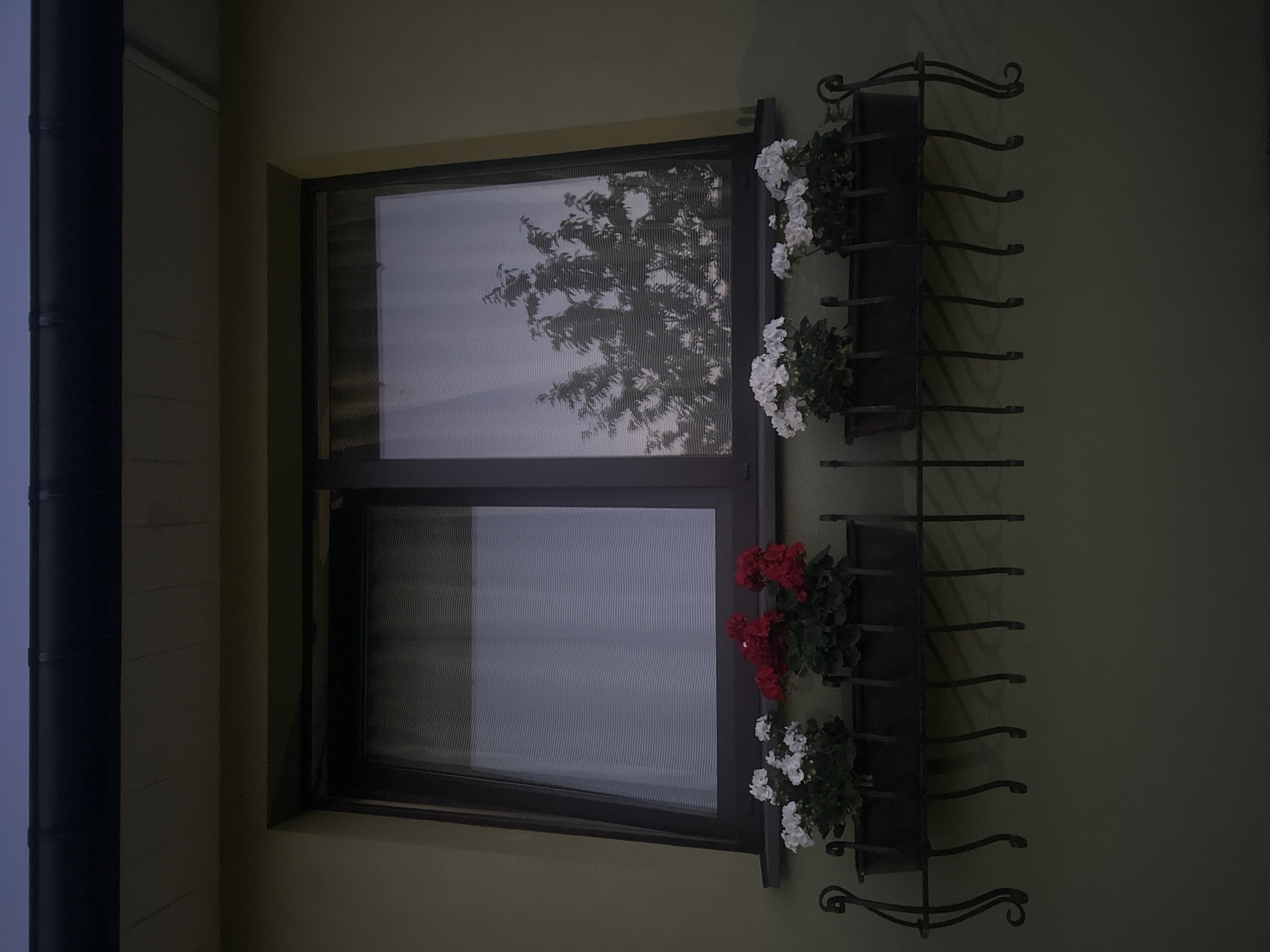 Evening in Lapės: garage, a green wall, and OKADA's menu